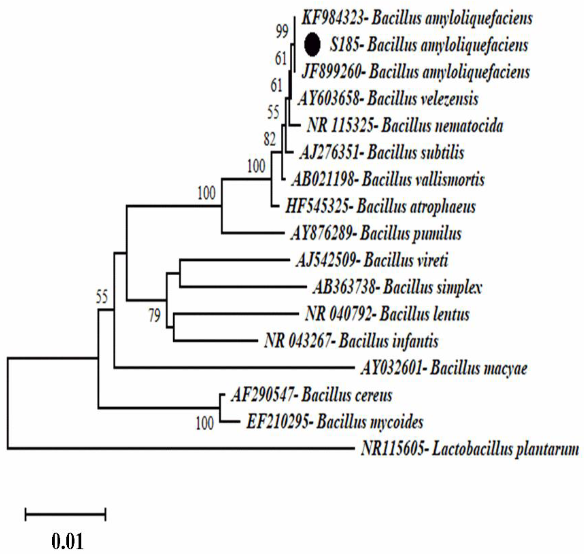Marinedrugs 19 00516 g002