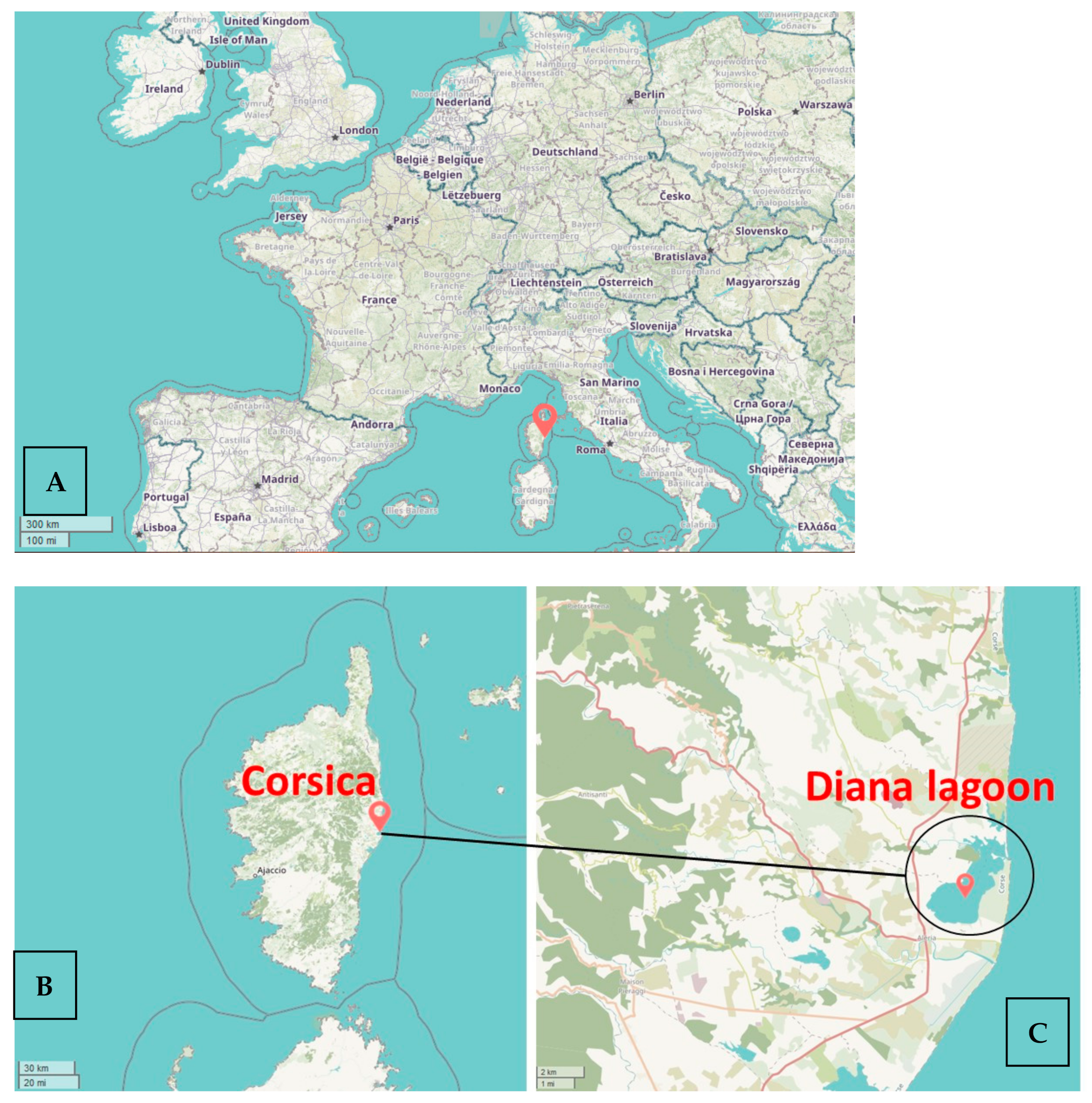 Marinedrugs 19 00520 g001