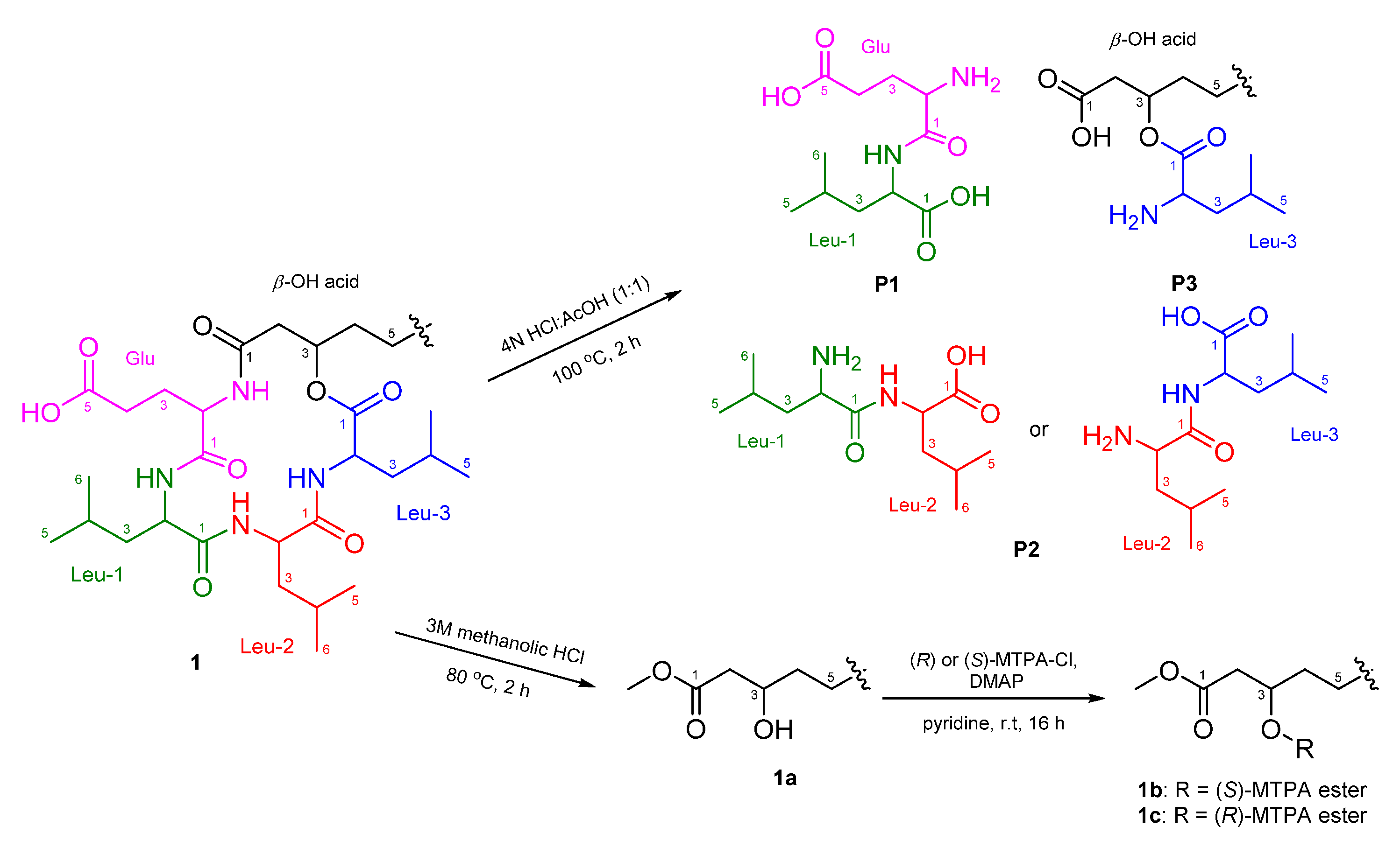 Marinedrugs 19 00528 g003