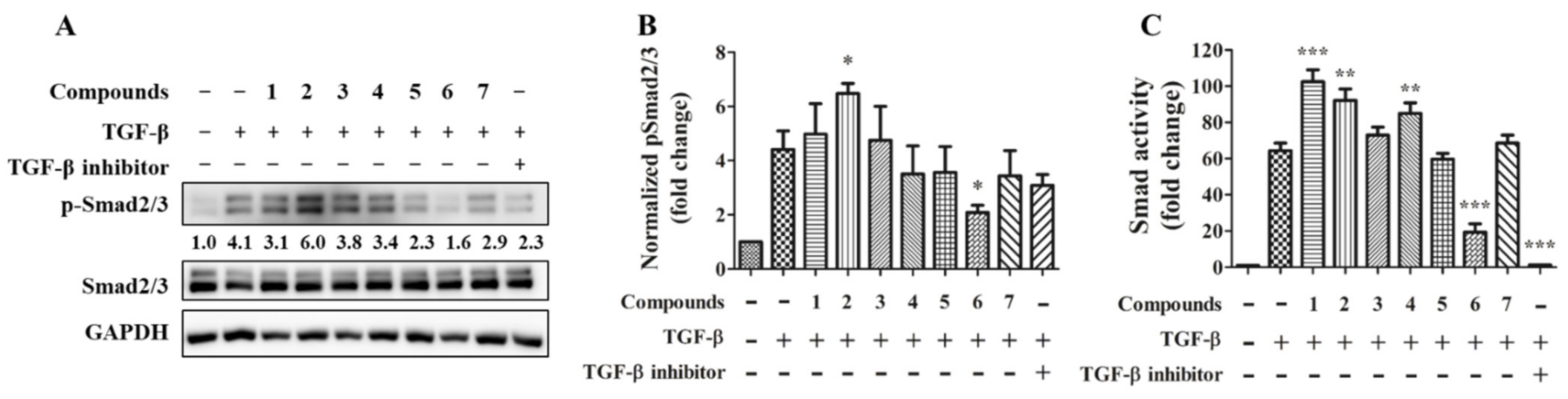Marinedrugs 19 00529 g006