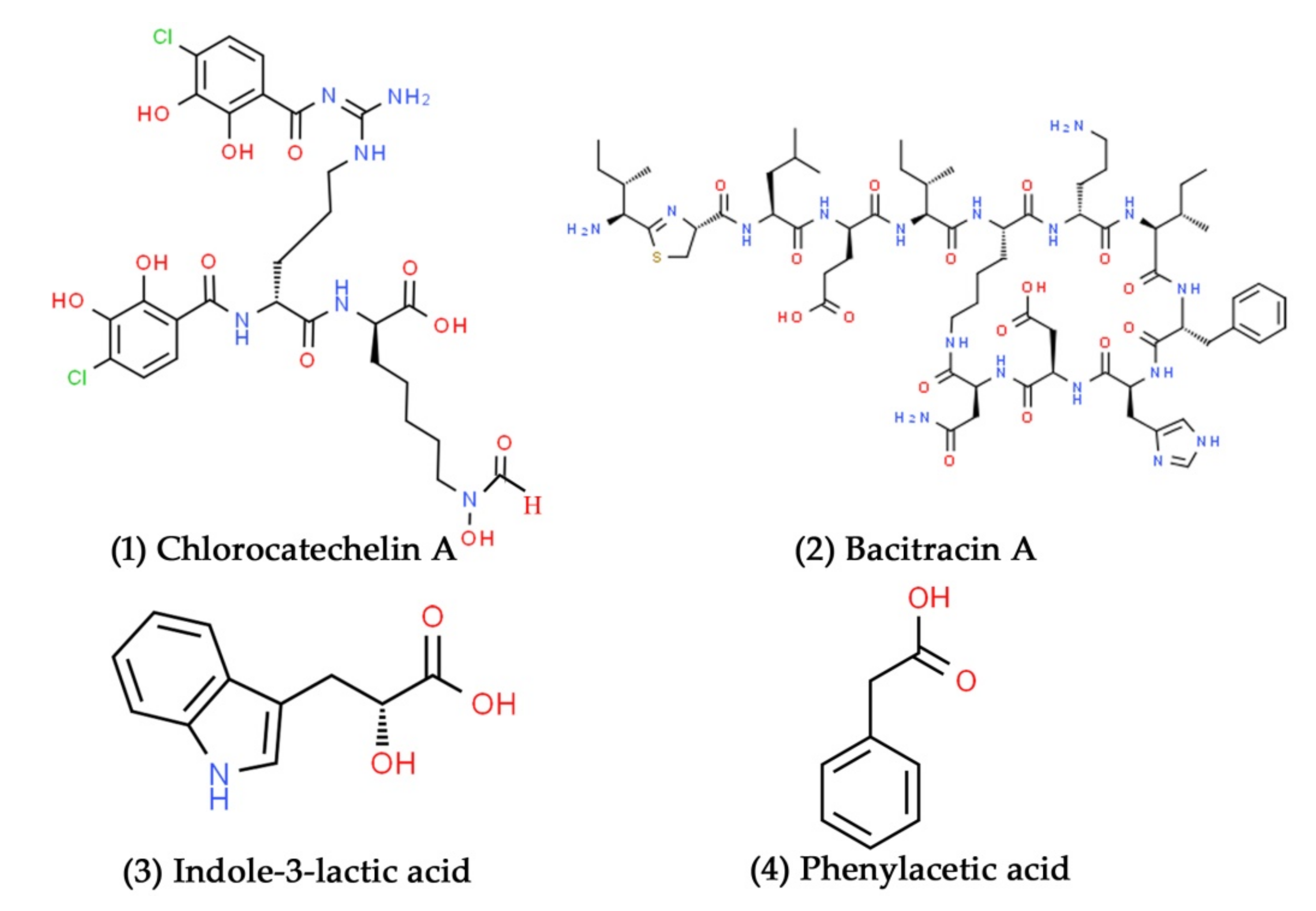Marinedrugs 19 00530 g002 Marinedrugs 19 00530 g002