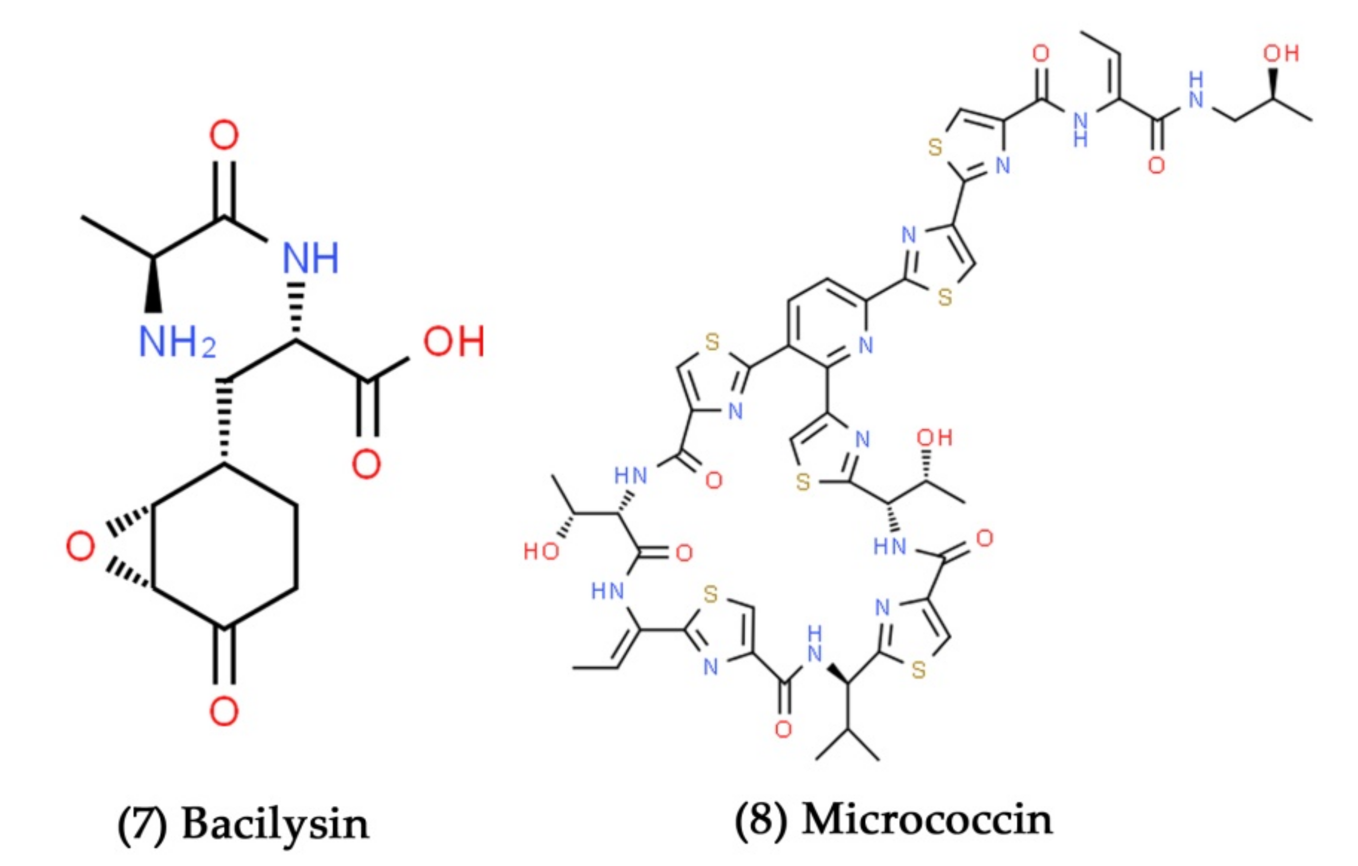 Marinedrugs 19 00530 g004 Marinedrugs 19 00530 g004