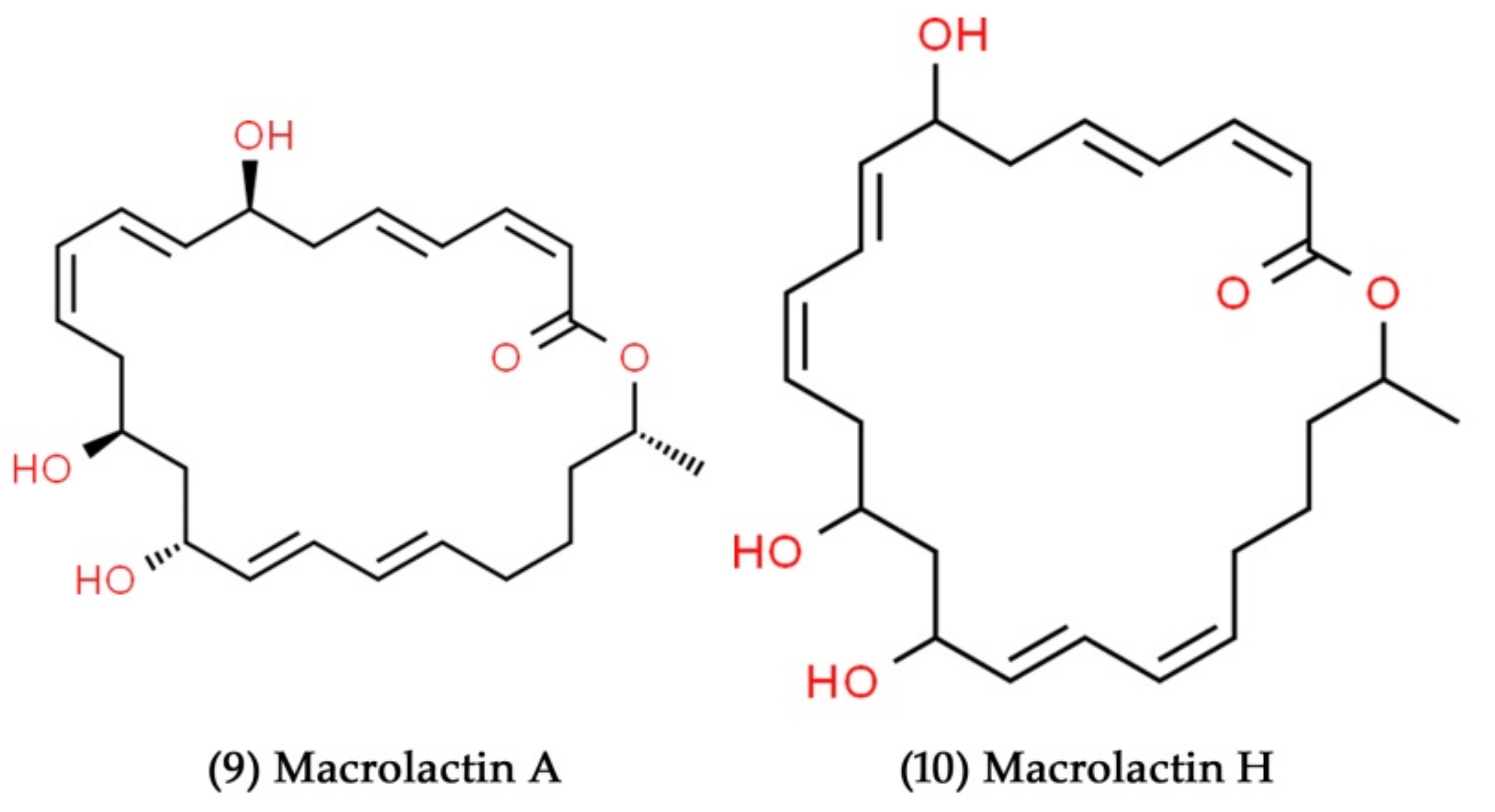 Marinedrugs 19 00530 g005 Marinedrugs 19 00530 g005