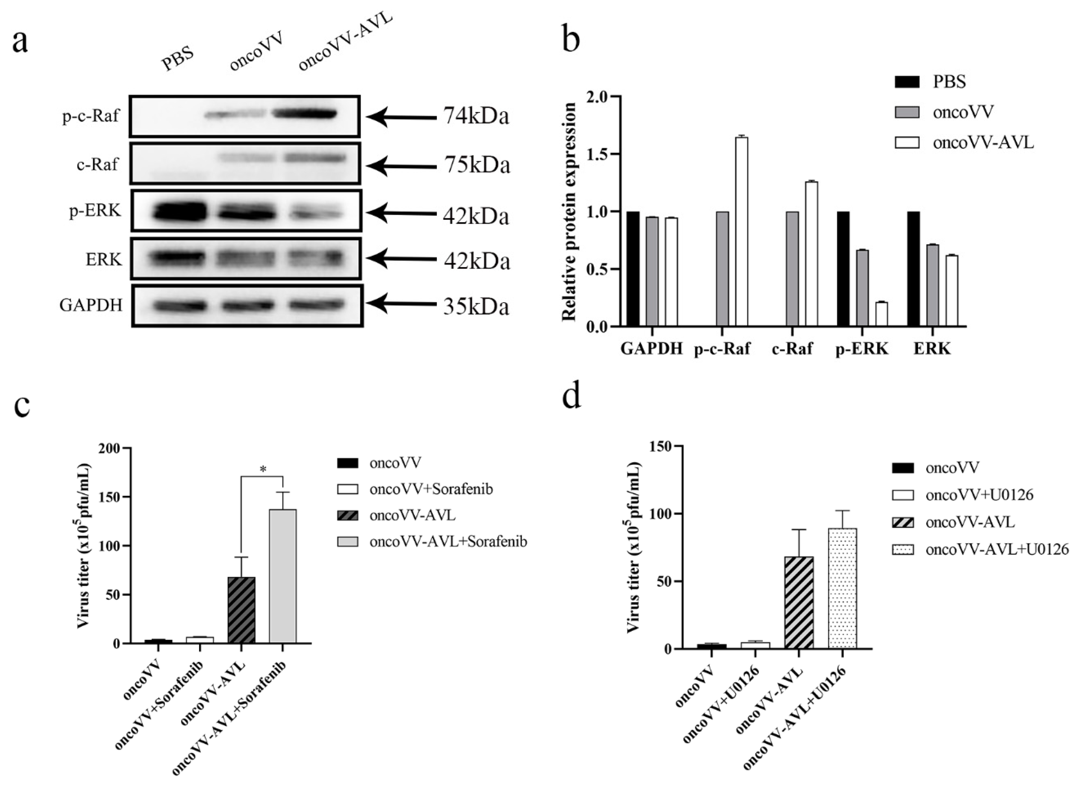 Marinedrugs 19 00532 g005