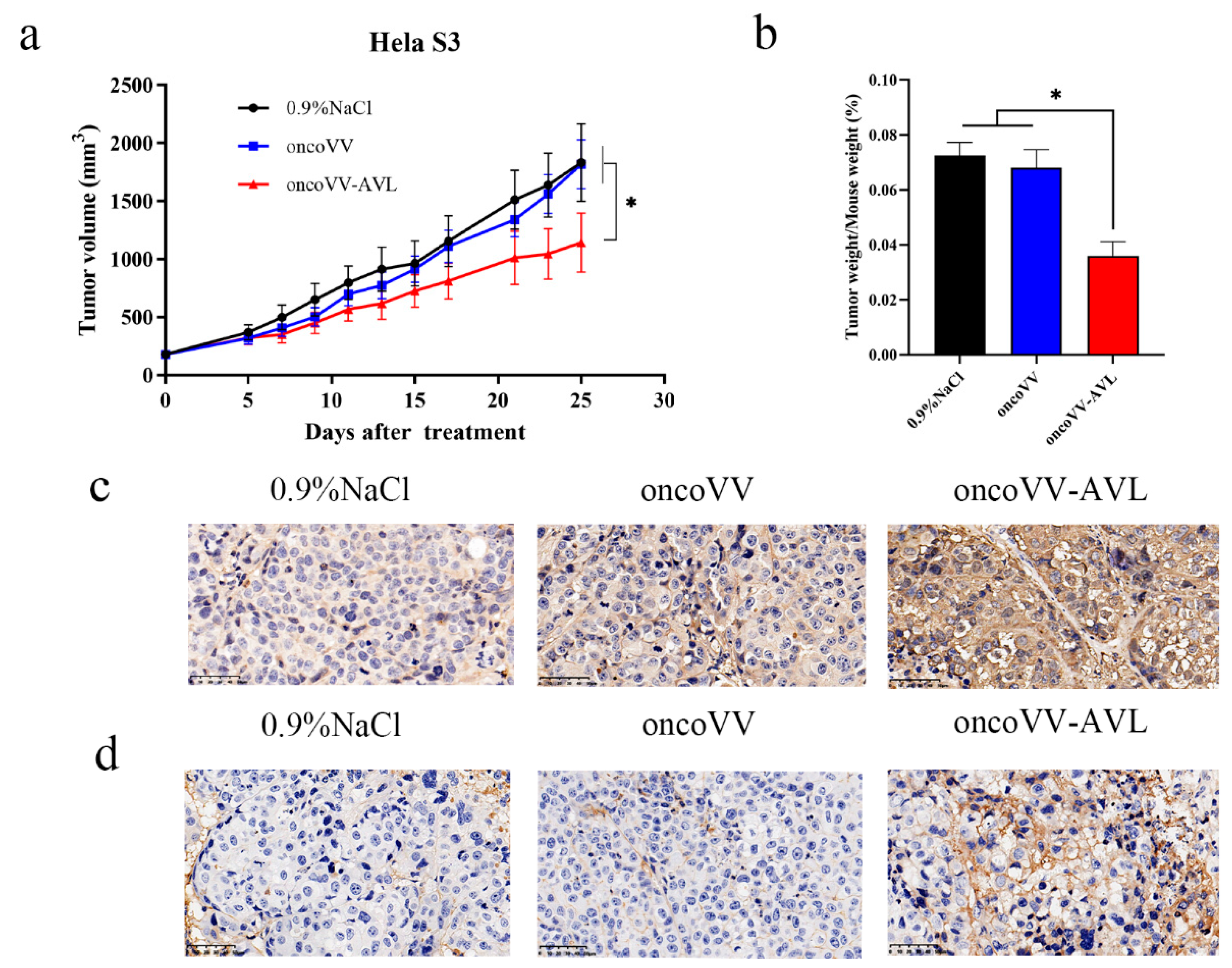 Marinedrugs 19 00532 g006