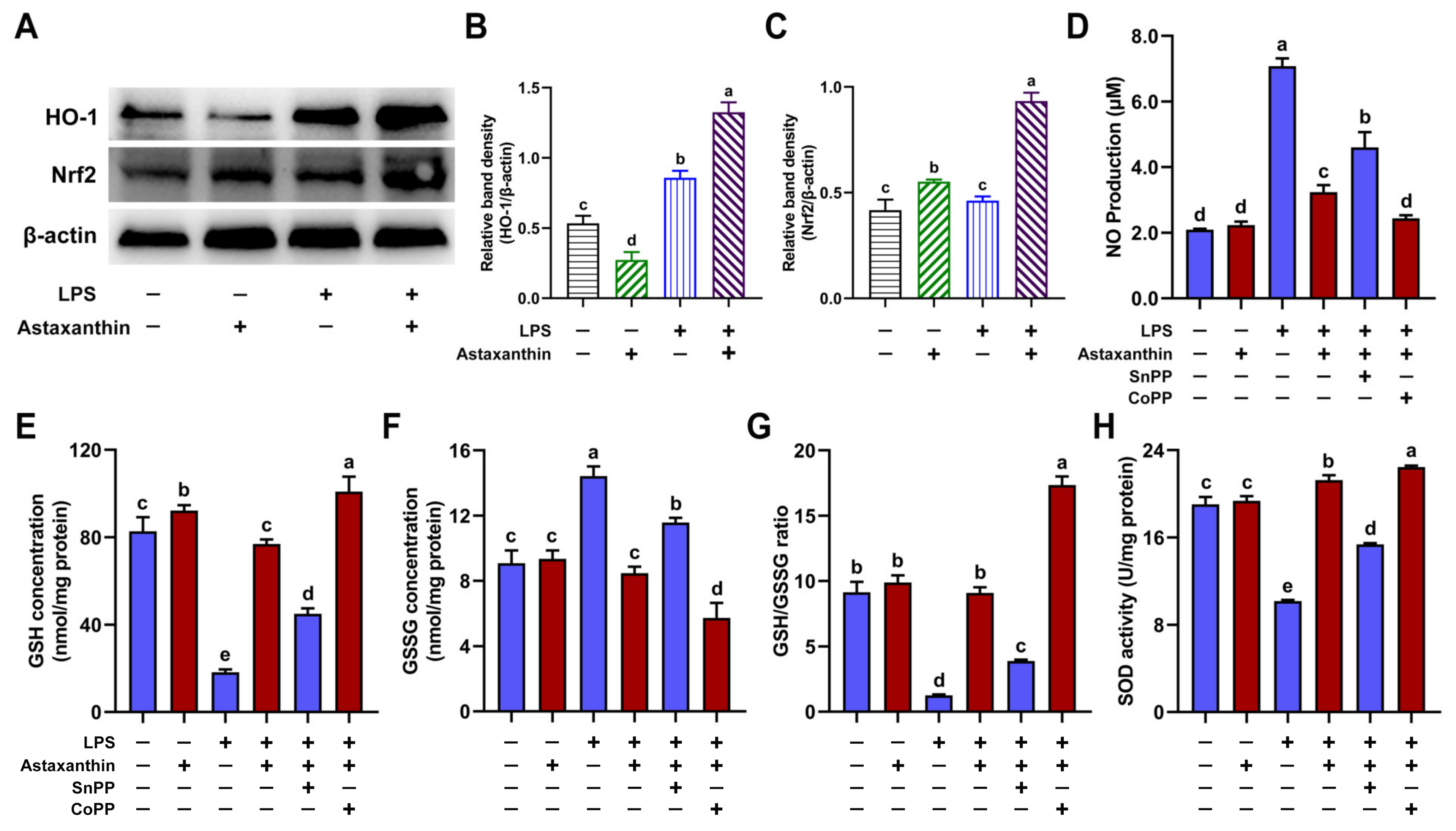 Marinedrugs 19 00534 g008 550