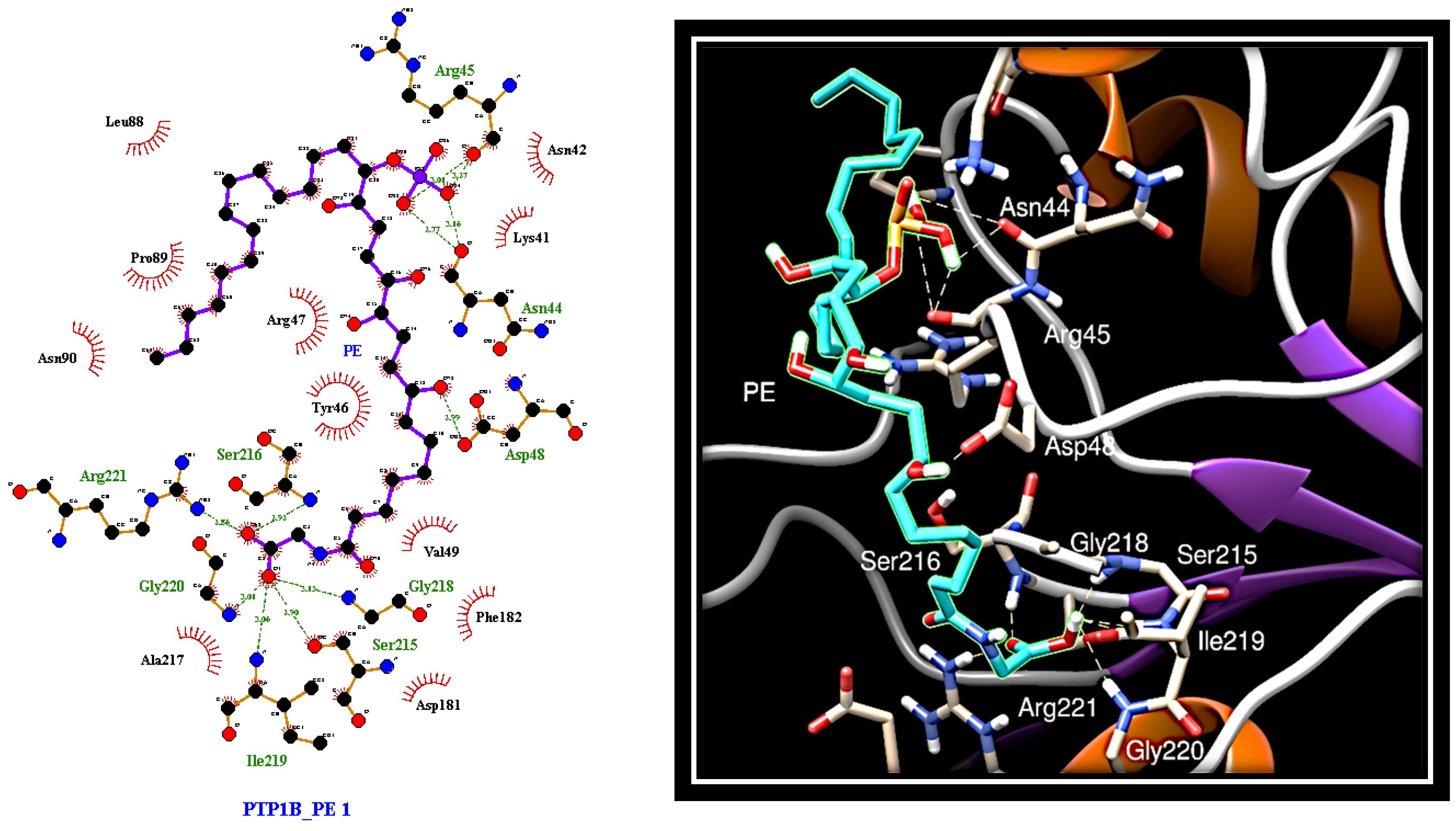 Marinedrugs 19 00535 g004