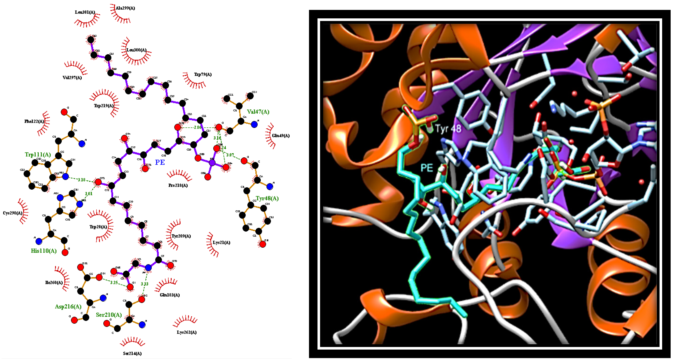 Marinedrugs 19 00535 g005