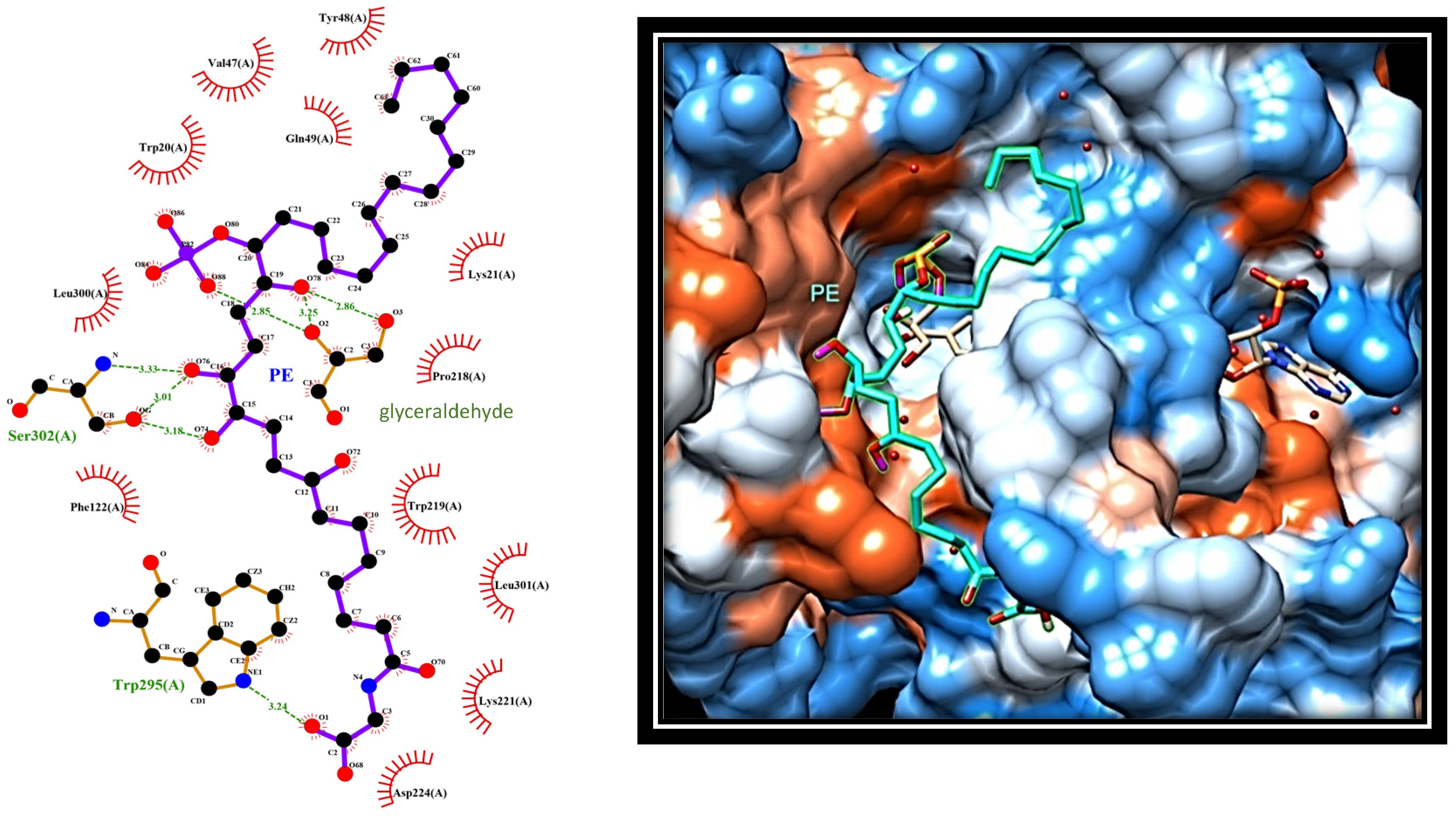 Marinedrugs 19 00535 g006
