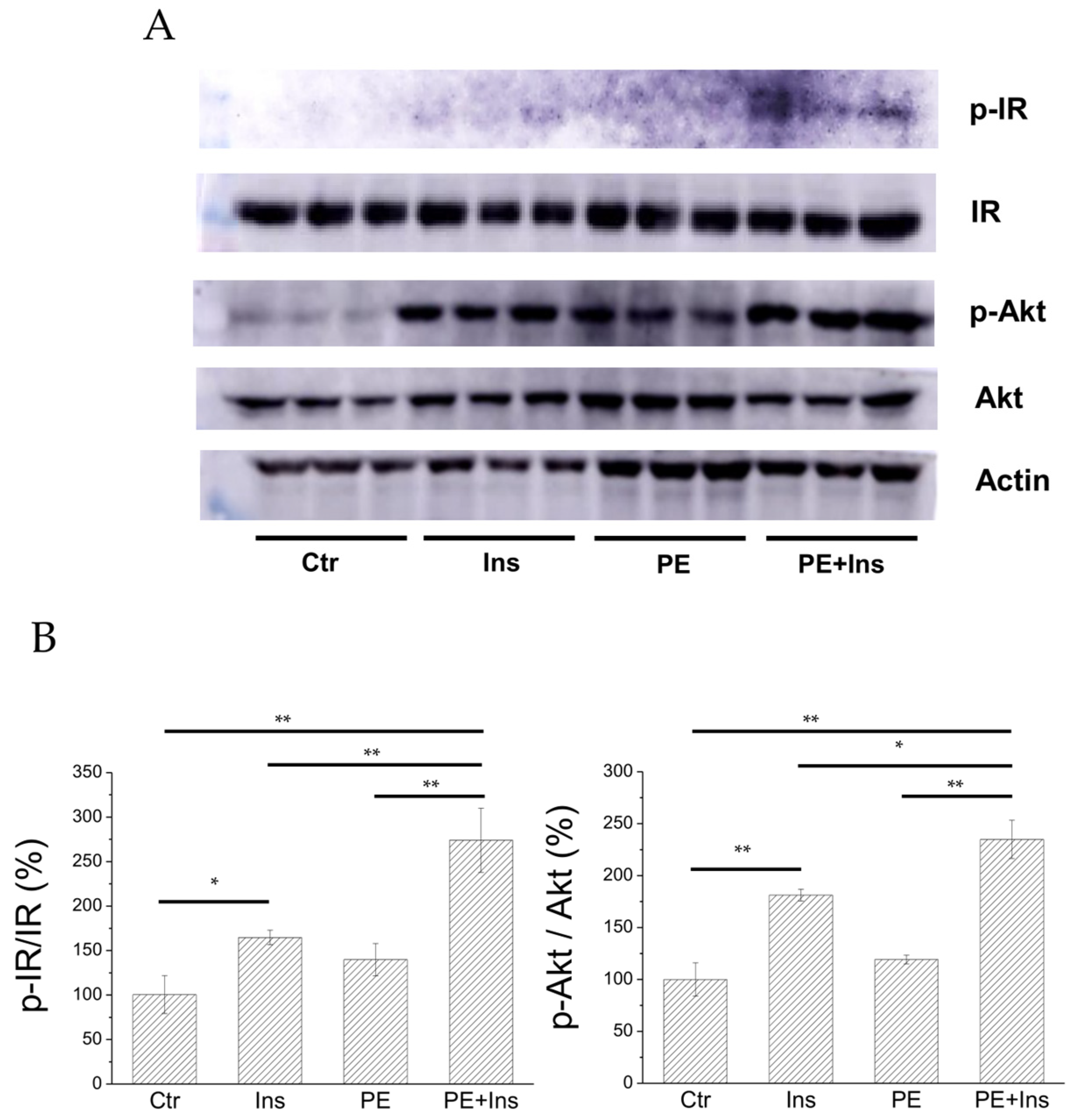 Marinedrugs 19 00535 g007
