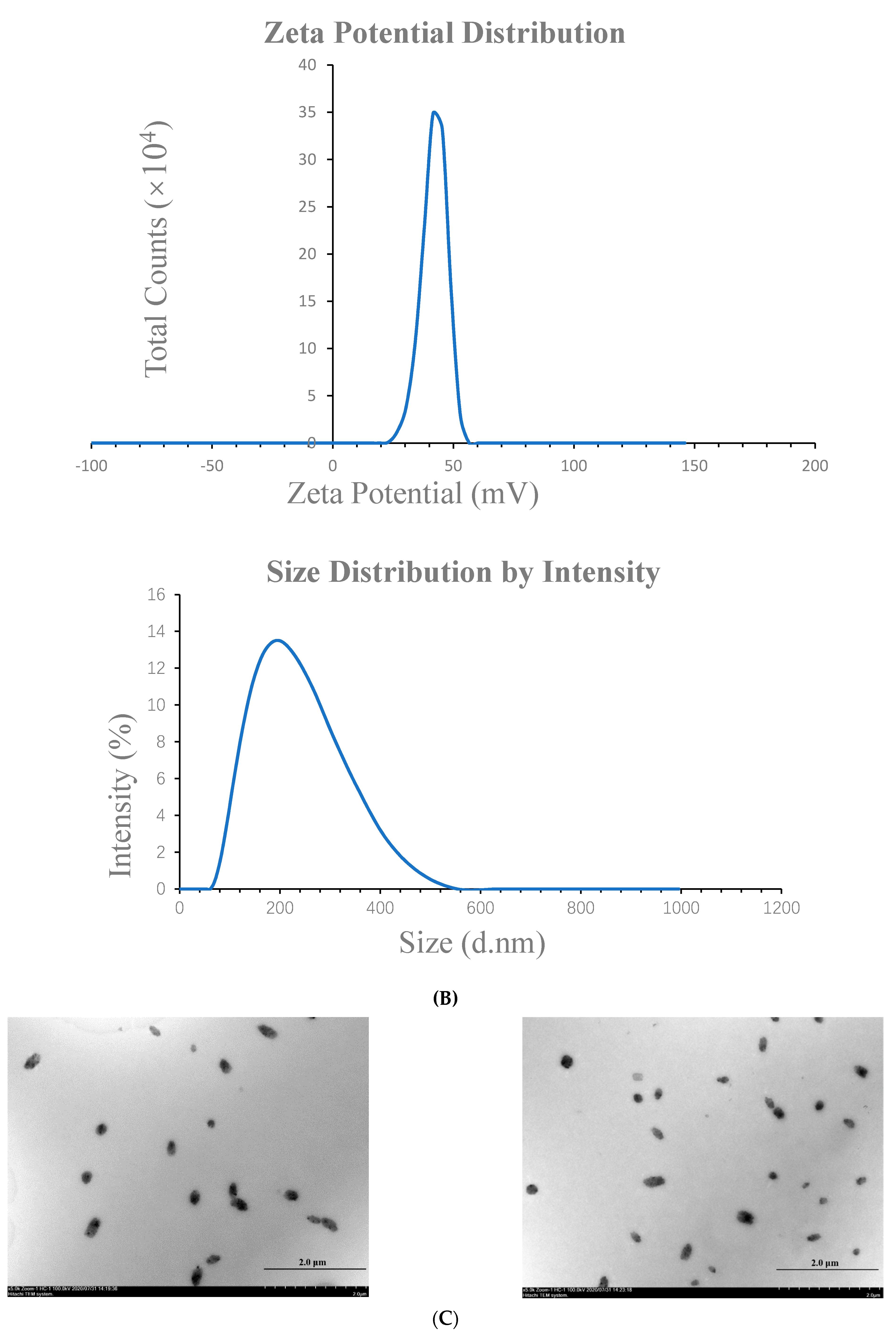 Marinedrugs 19 00536 g001b 550