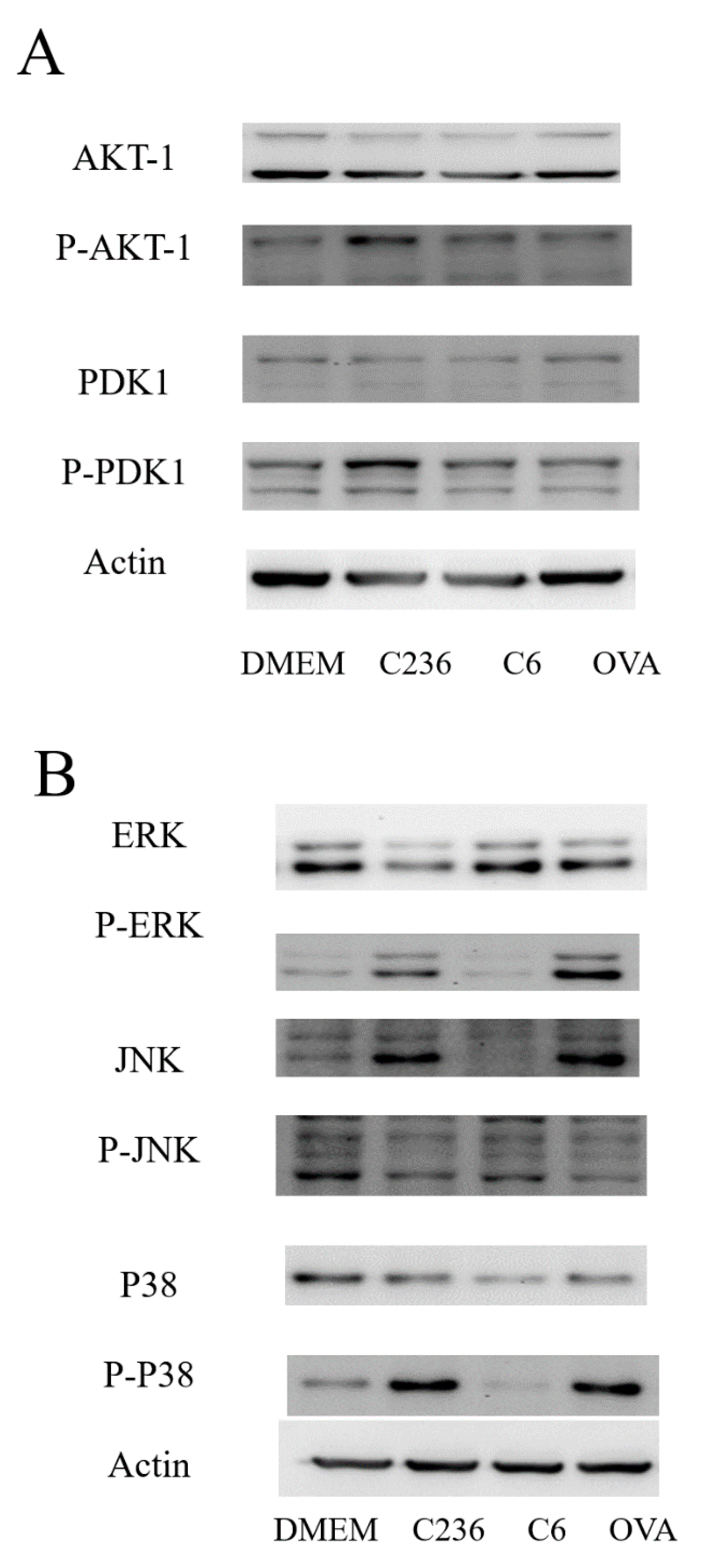 Marinedrugs 19 00536 g005 550