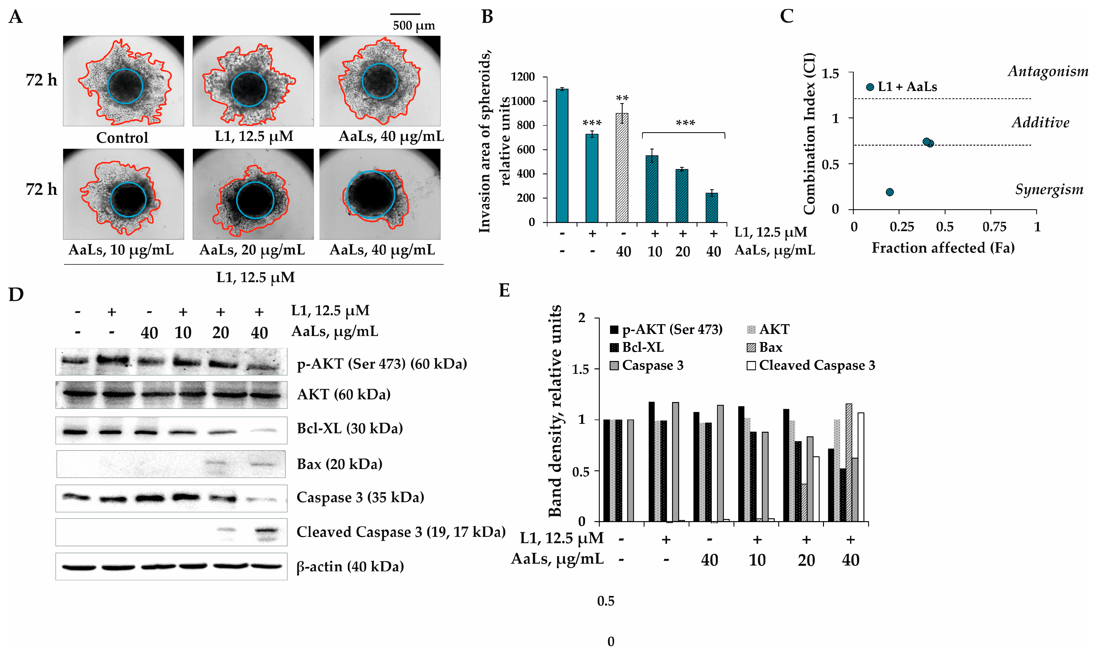 Marinedrugs 19 00540 g006
