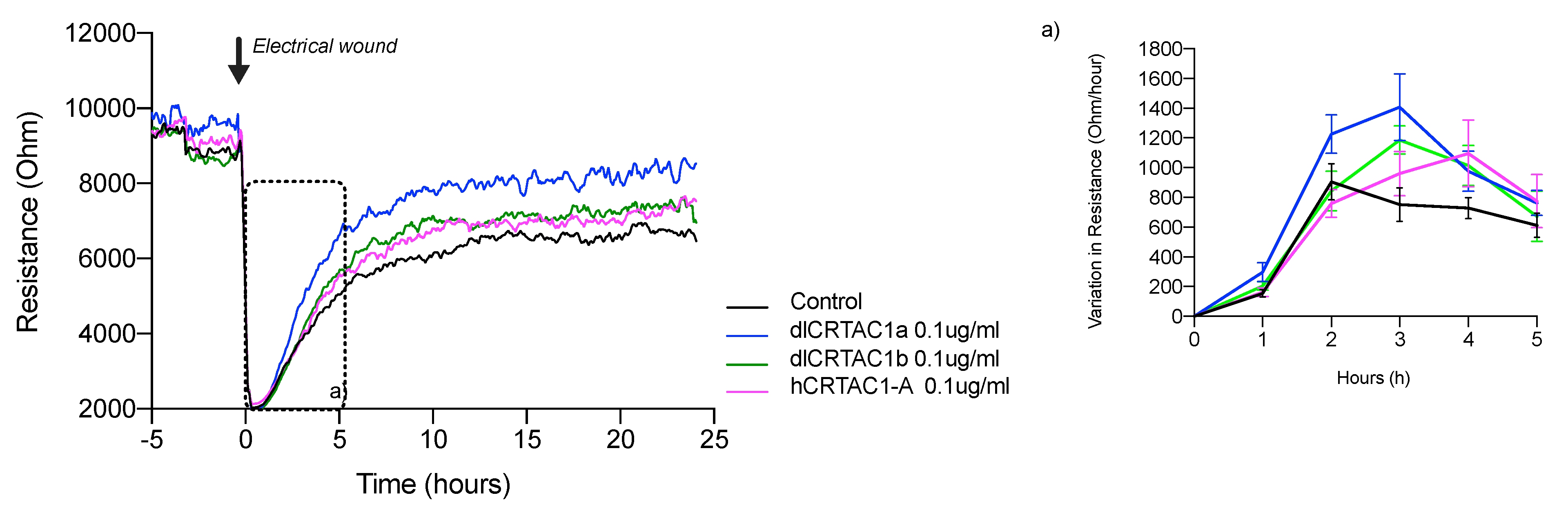 Marinedrugs 19 00541 g002 Marinedrugs 19 00541 g002