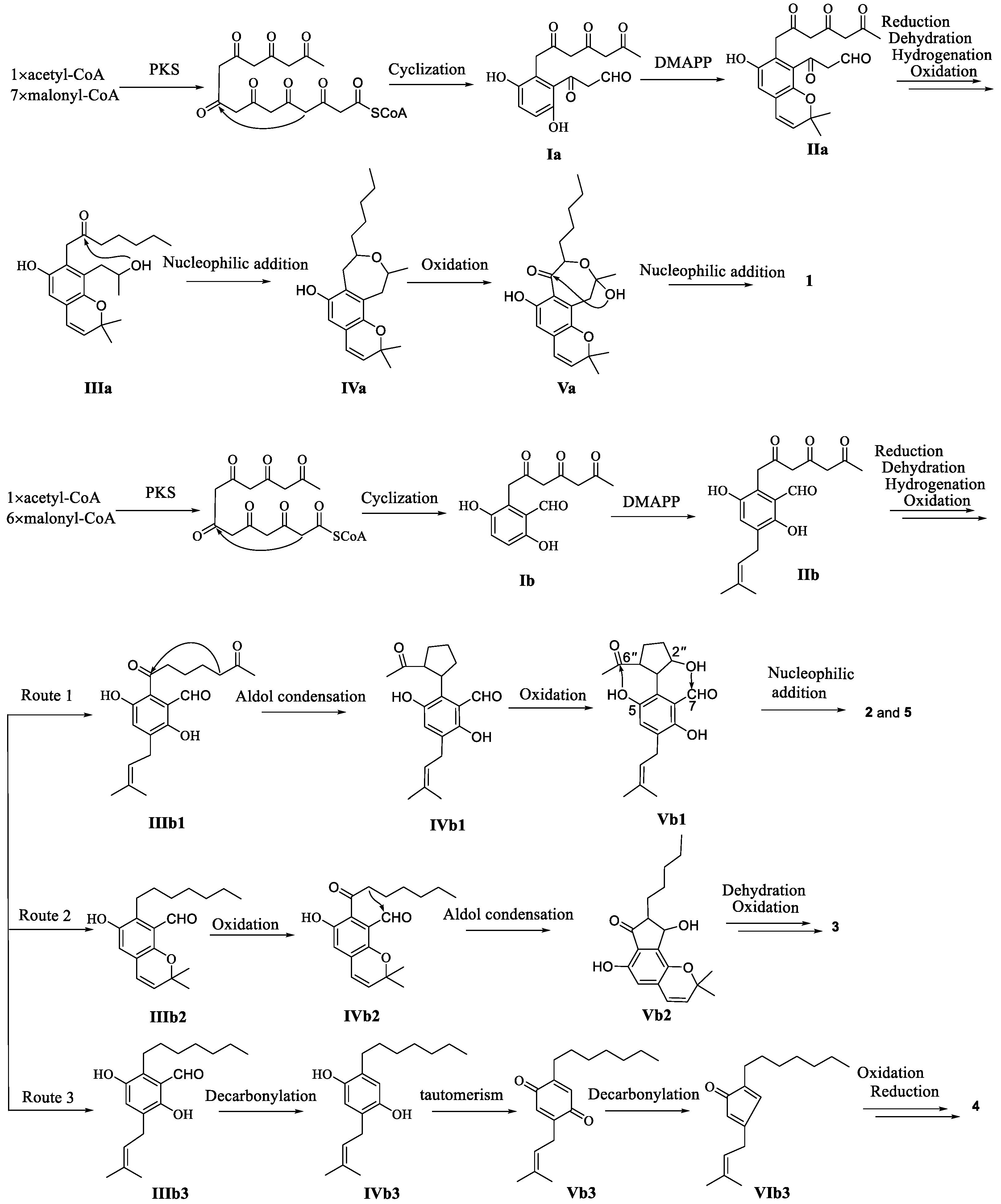 Marinedrugs 19 00543 sch001