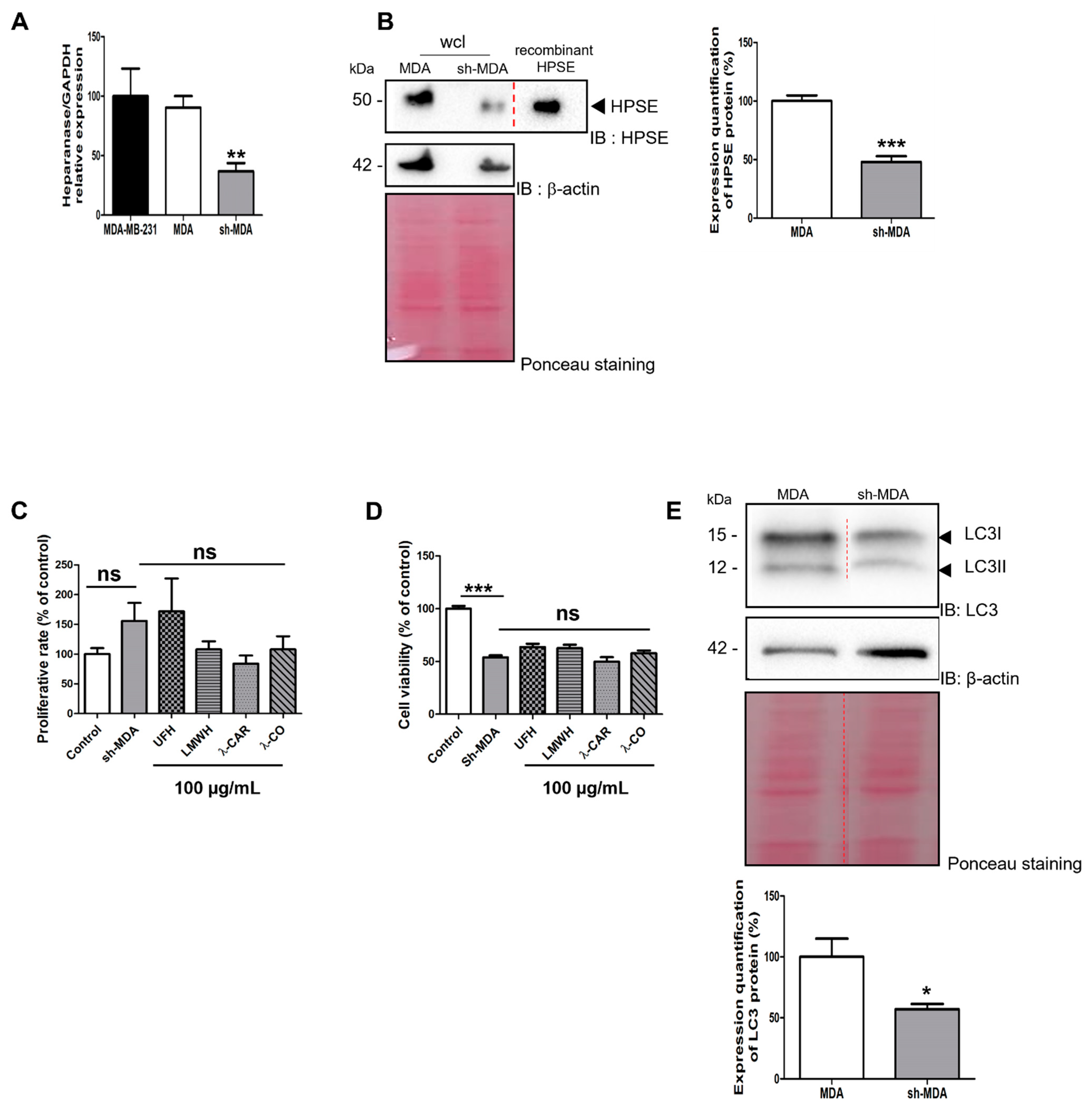 Marinedrugs 19 00546 g003