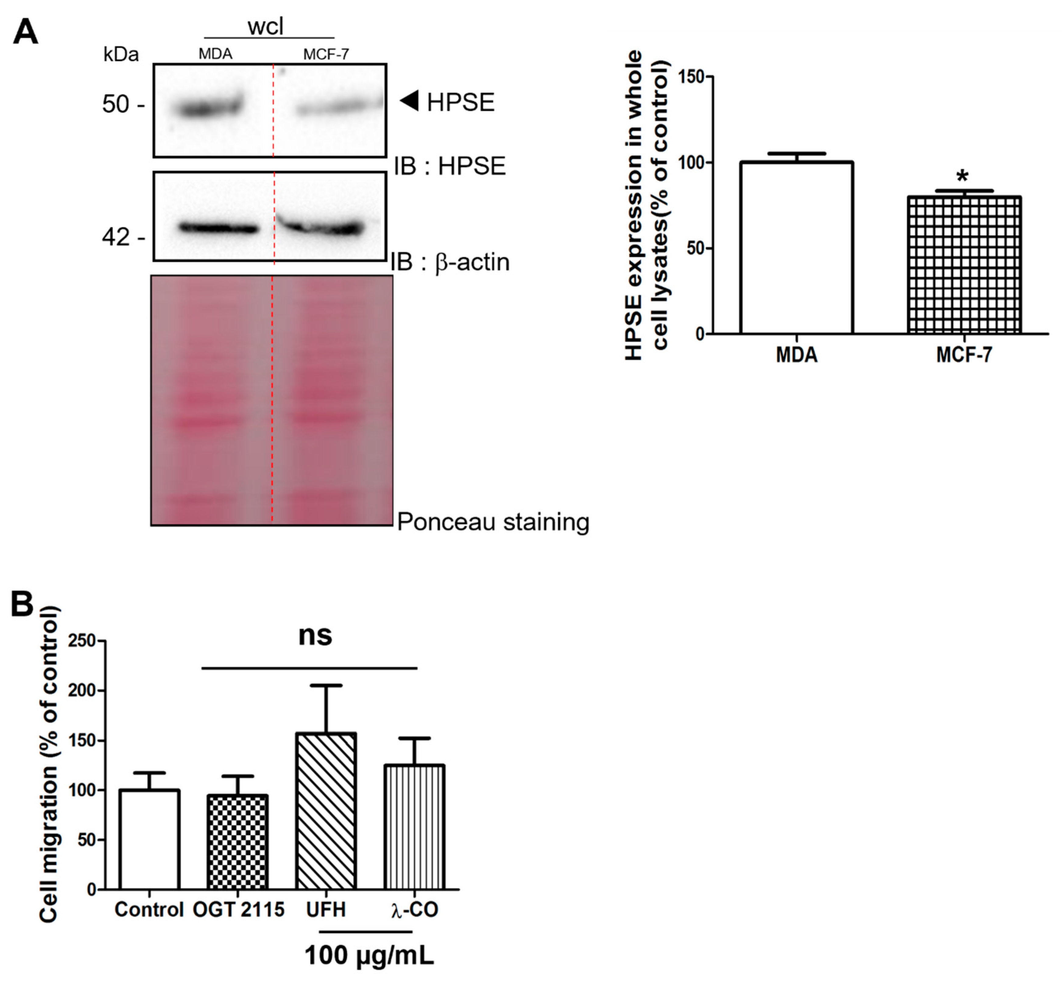 Marinedrugs 19 00546 g005