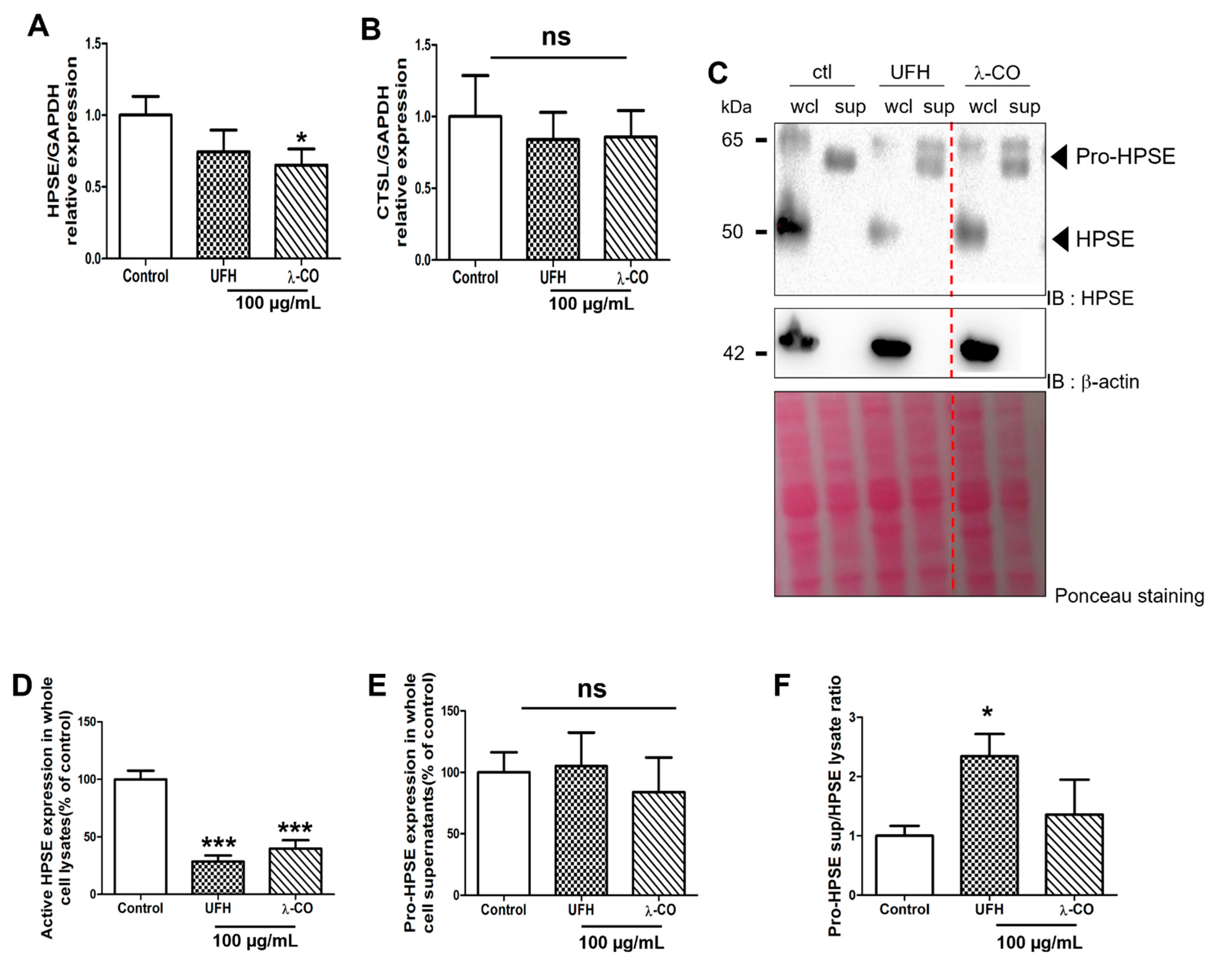 Marinedrugs 19 00546 g006