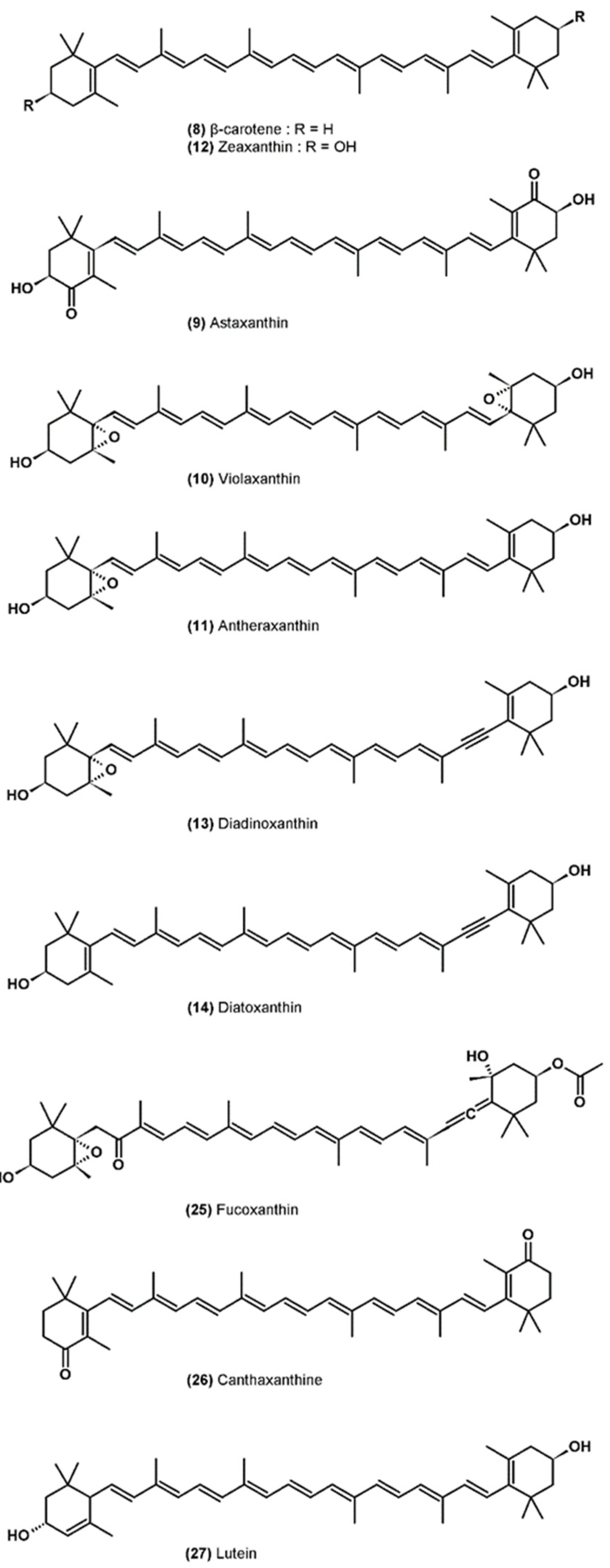 Marinedrugs 19 00549 g002