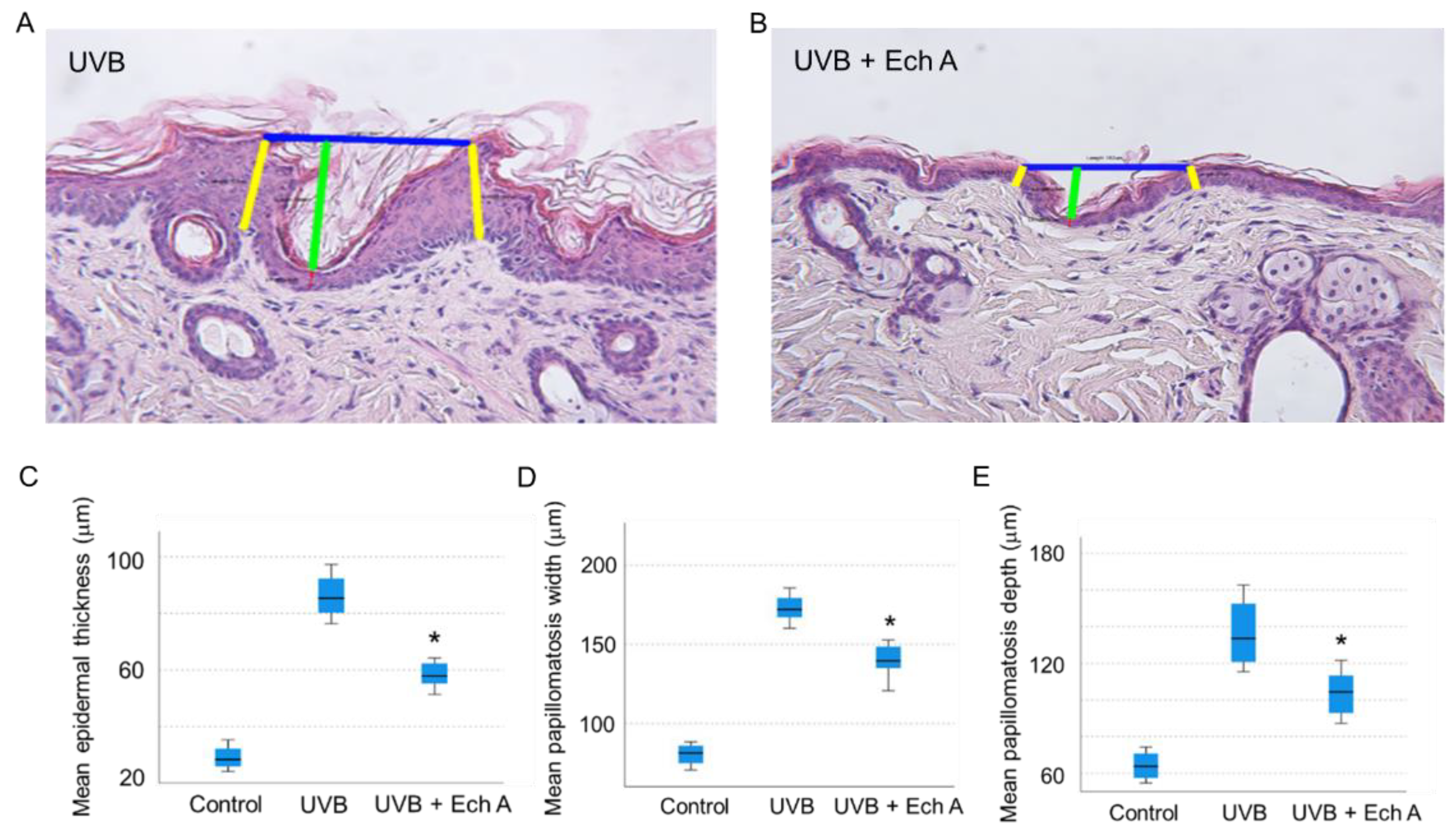 Marinedrugs 19 00550 g004 550