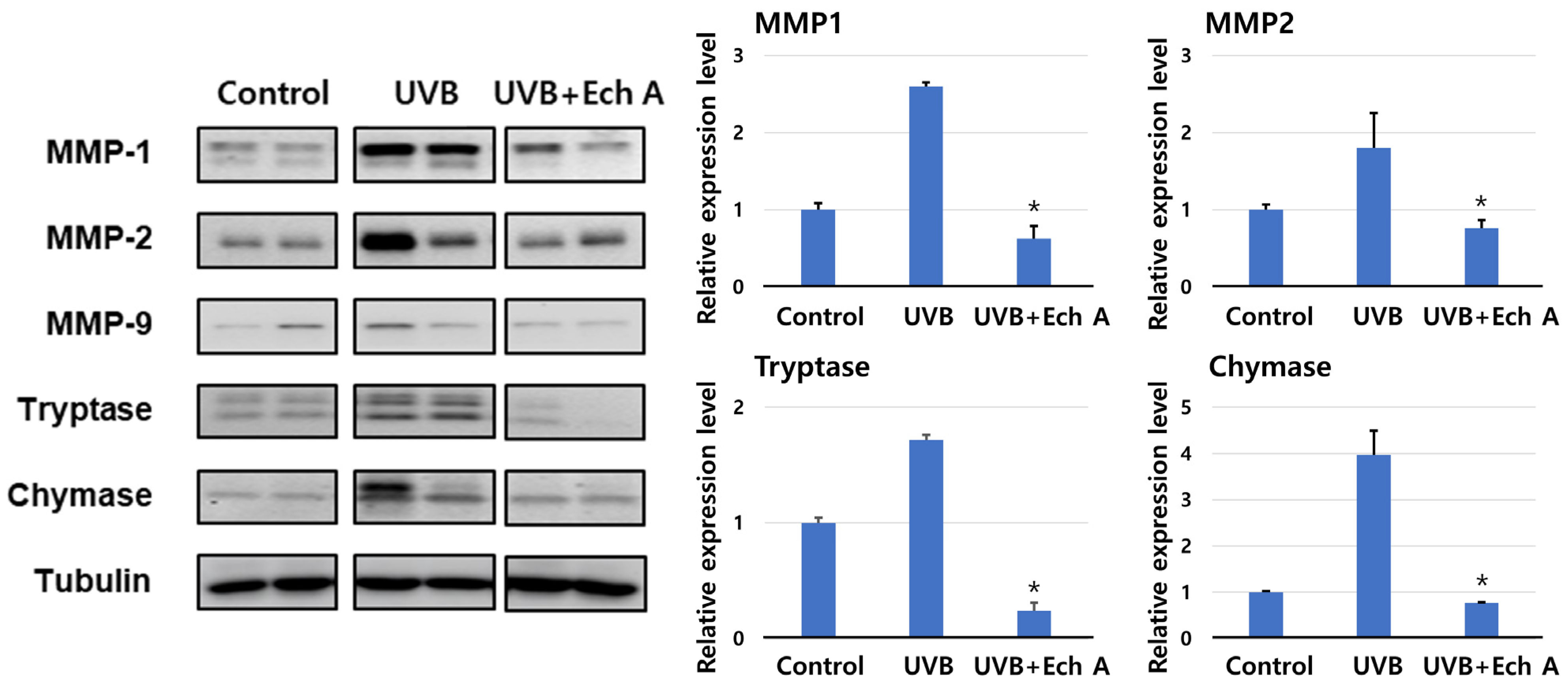 Marinedrugs 19 00550 g008 550