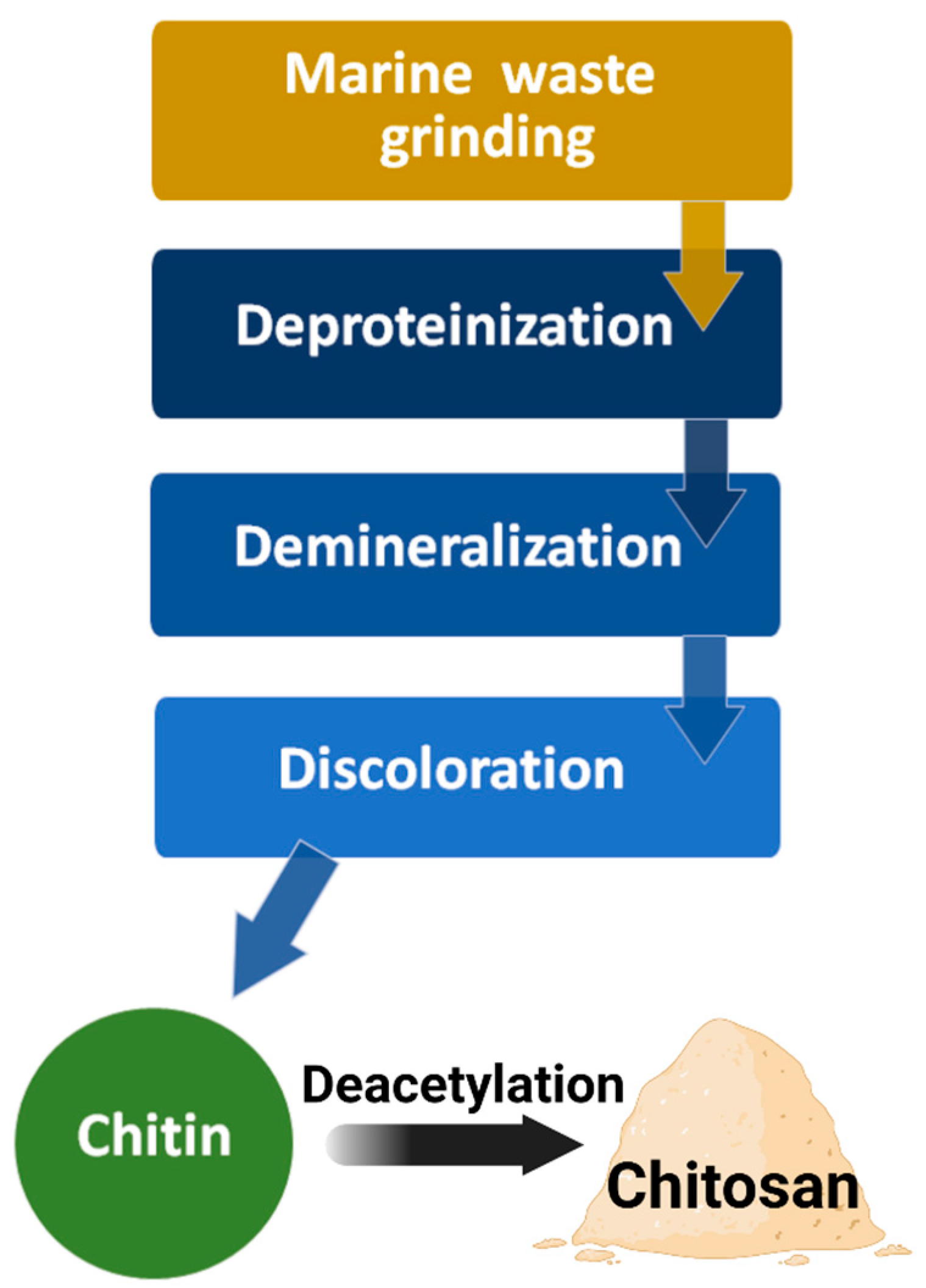 Marinedrugs 19 00551 g005