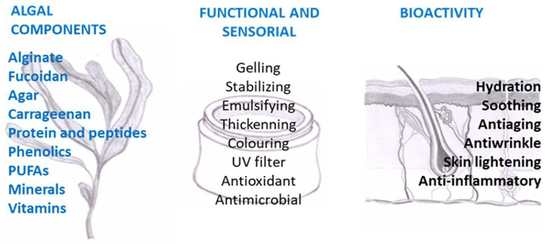 Marine Drugs Free Full Text Applying Seaweed Compounds In Cosmetics Cosmeceuticals And Nutricosmetics Html