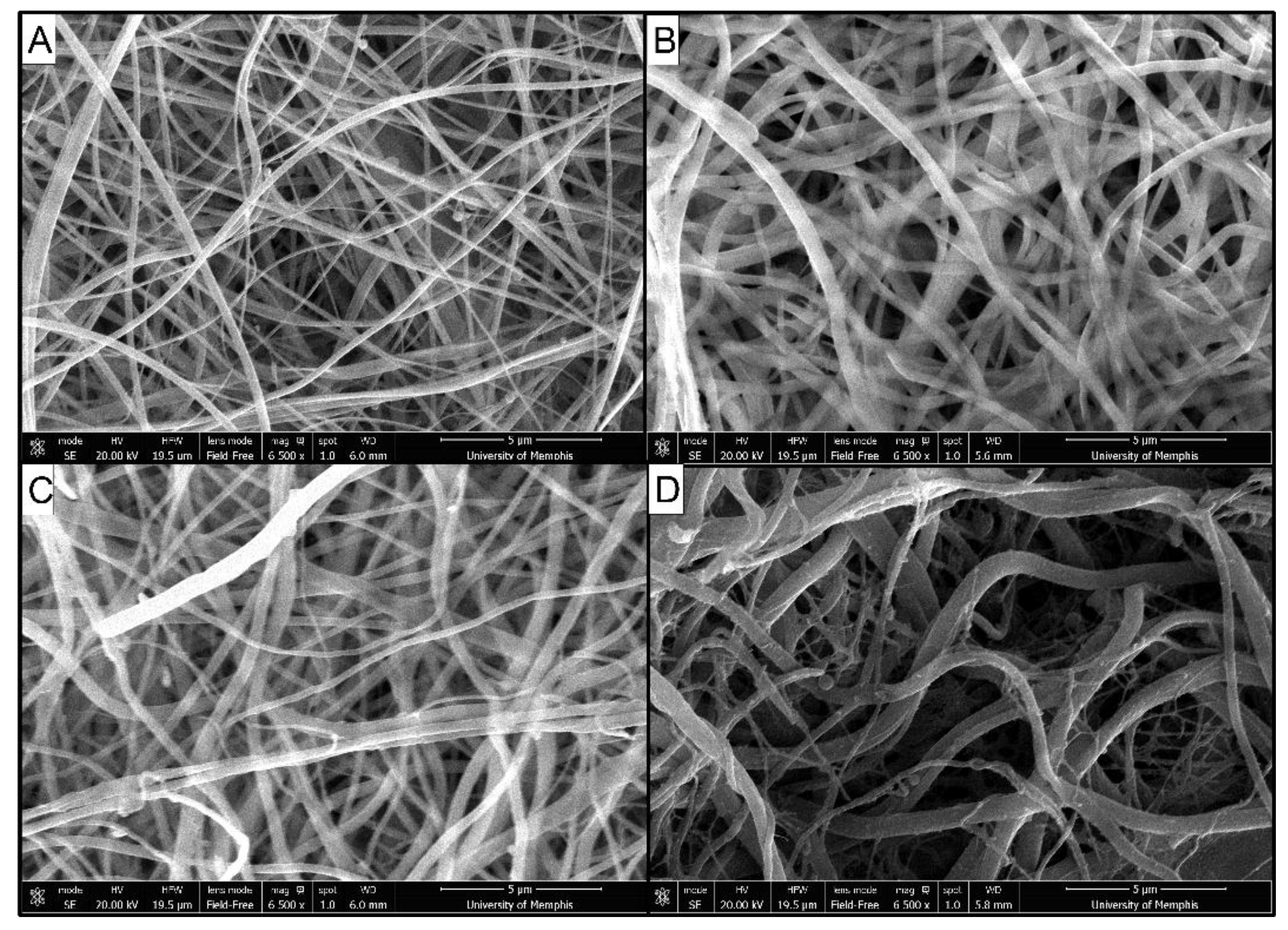 Marinedrugs 19 00556 g001