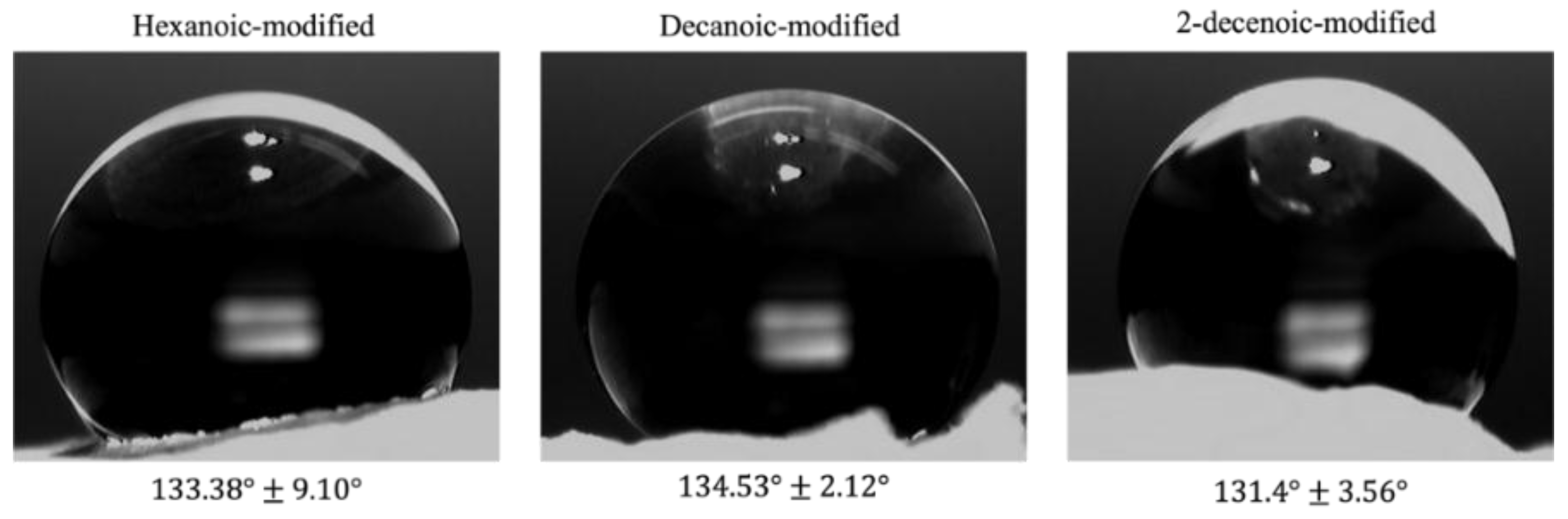 Marinedrugs 19 00556 g004