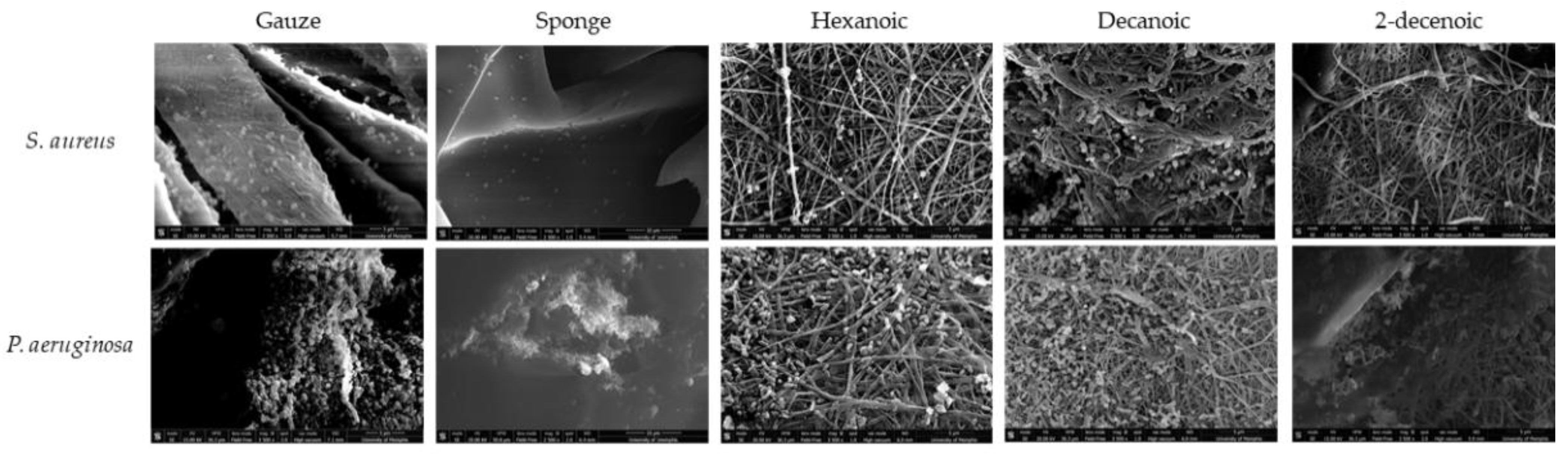 Marinedrugs 19 00556 g008