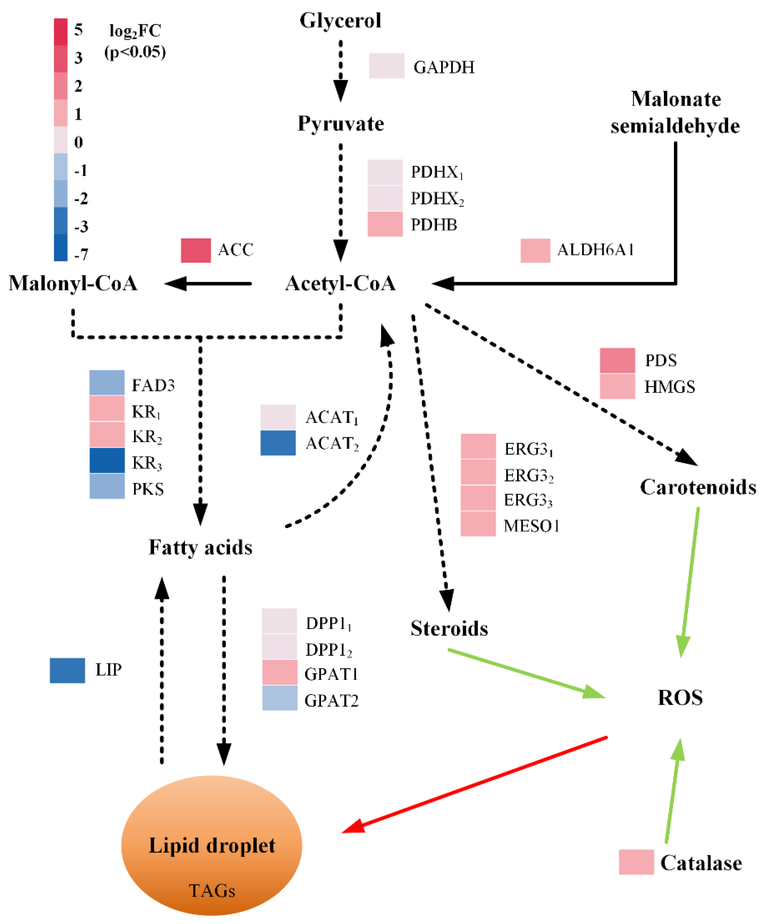 Marinedrugs 19 00559 g005