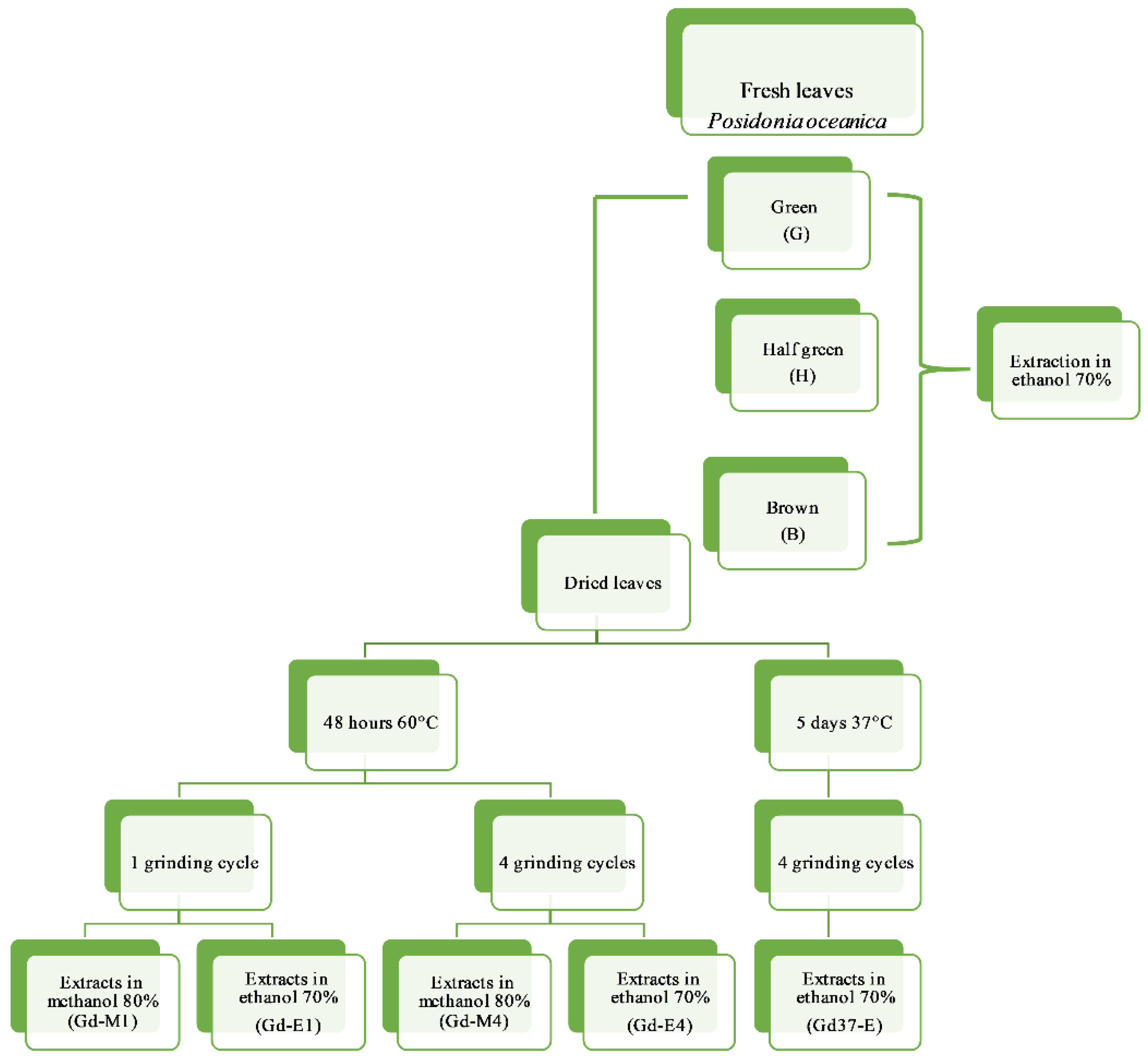 Marinedrugs 19 00560 g004