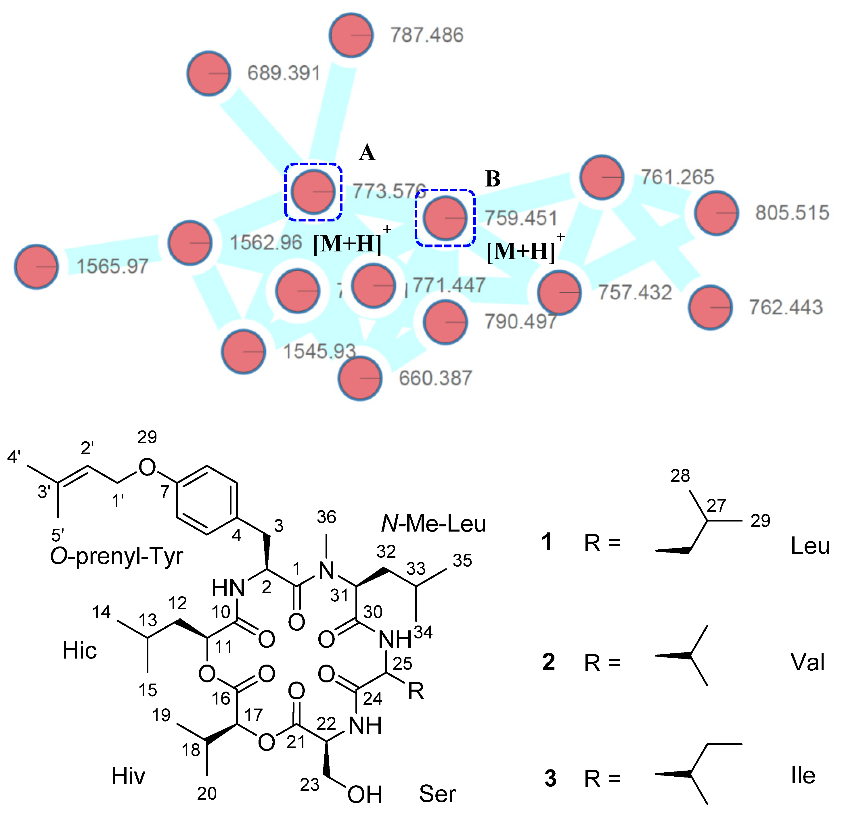 Marinedrugs 19 00565 g001