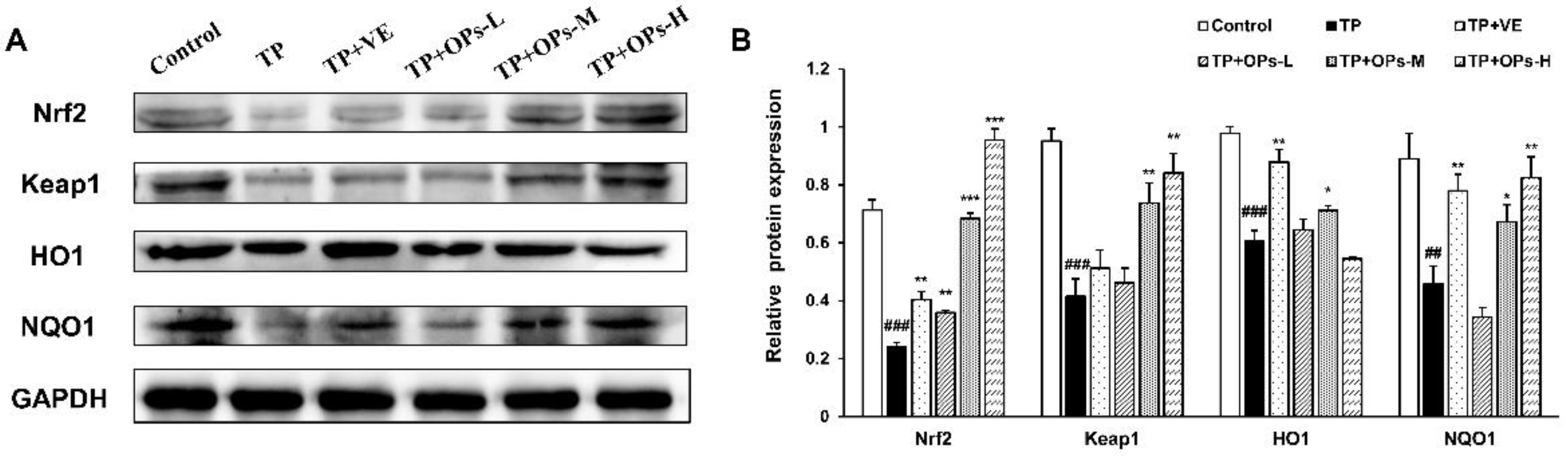 Marinedrugs 19 00566 g007