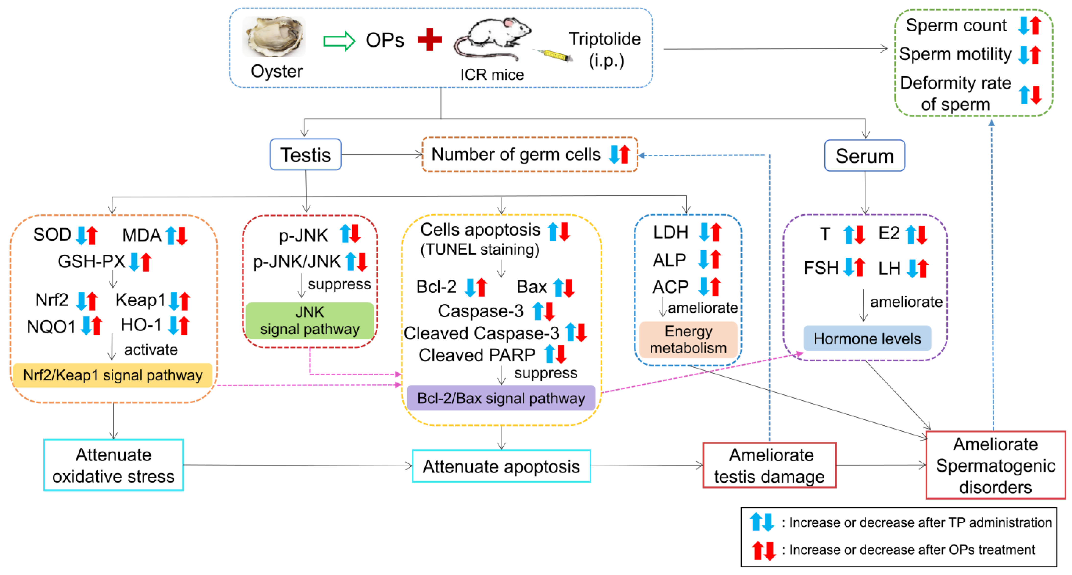 Marinedrugs 19 00566 g009