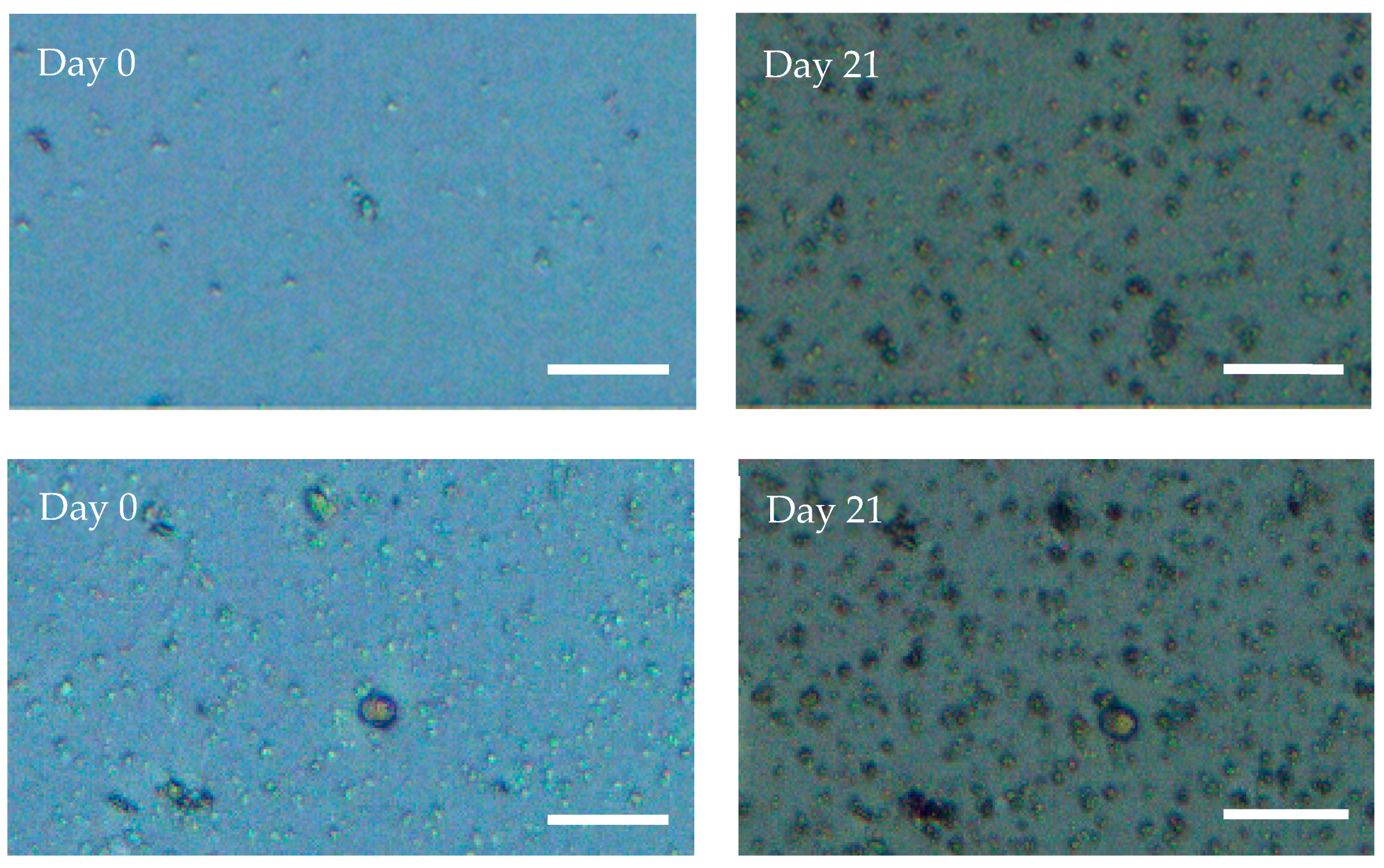 Marinedrugs 19 00569 g005