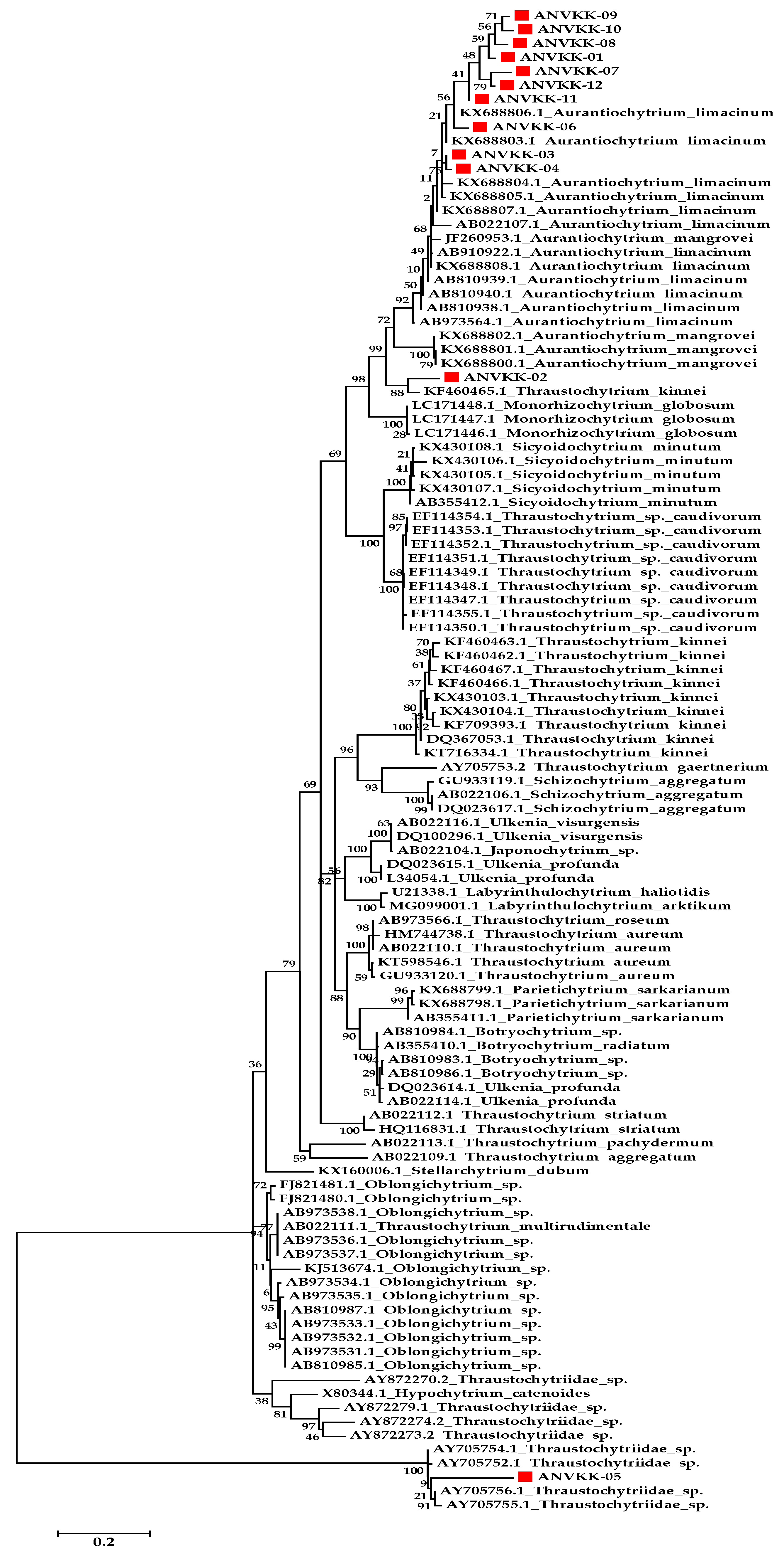 Marinedrugs 19 00571 g004 Marinedrugs 19 00571 g004