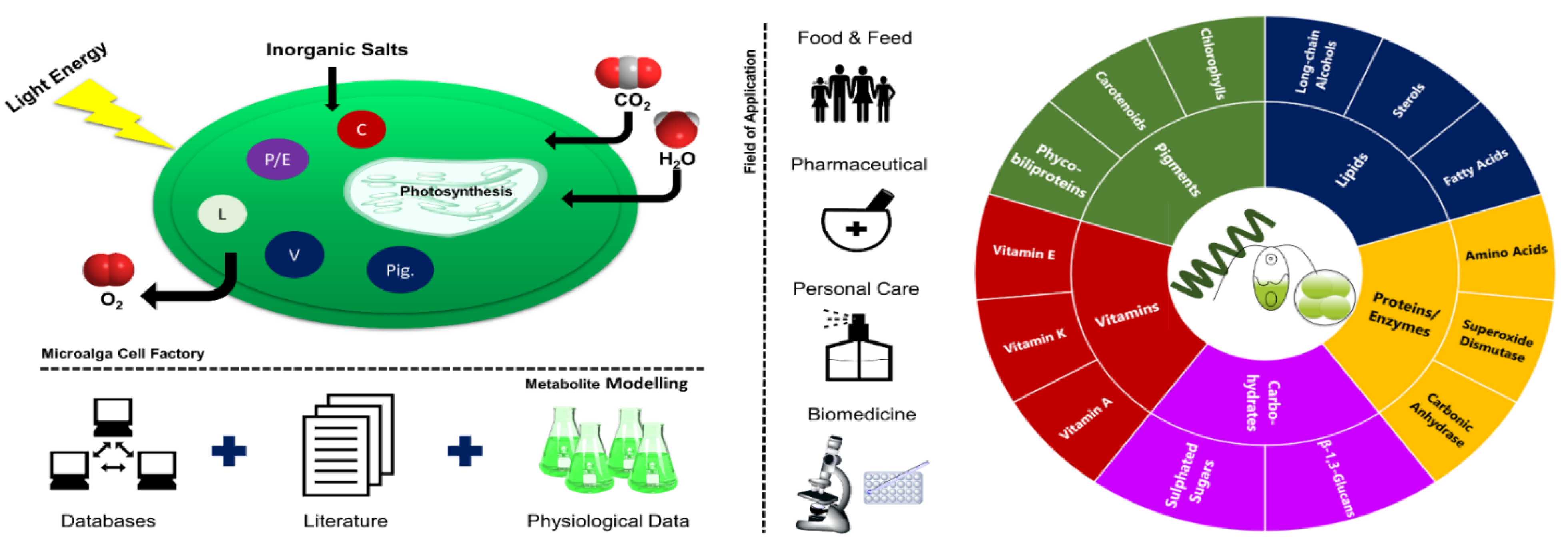 Marinedrugs 19 00573 g001