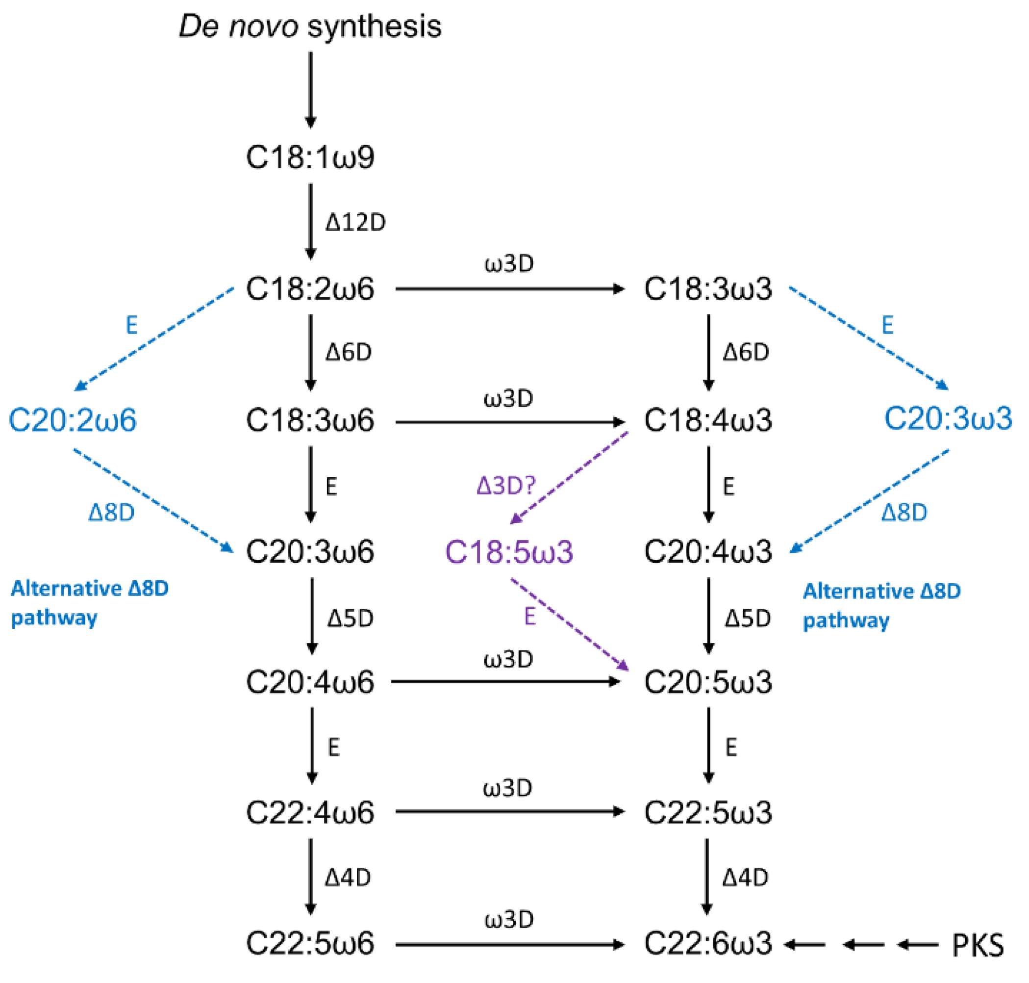 Marinedrugs 19 00573 g005