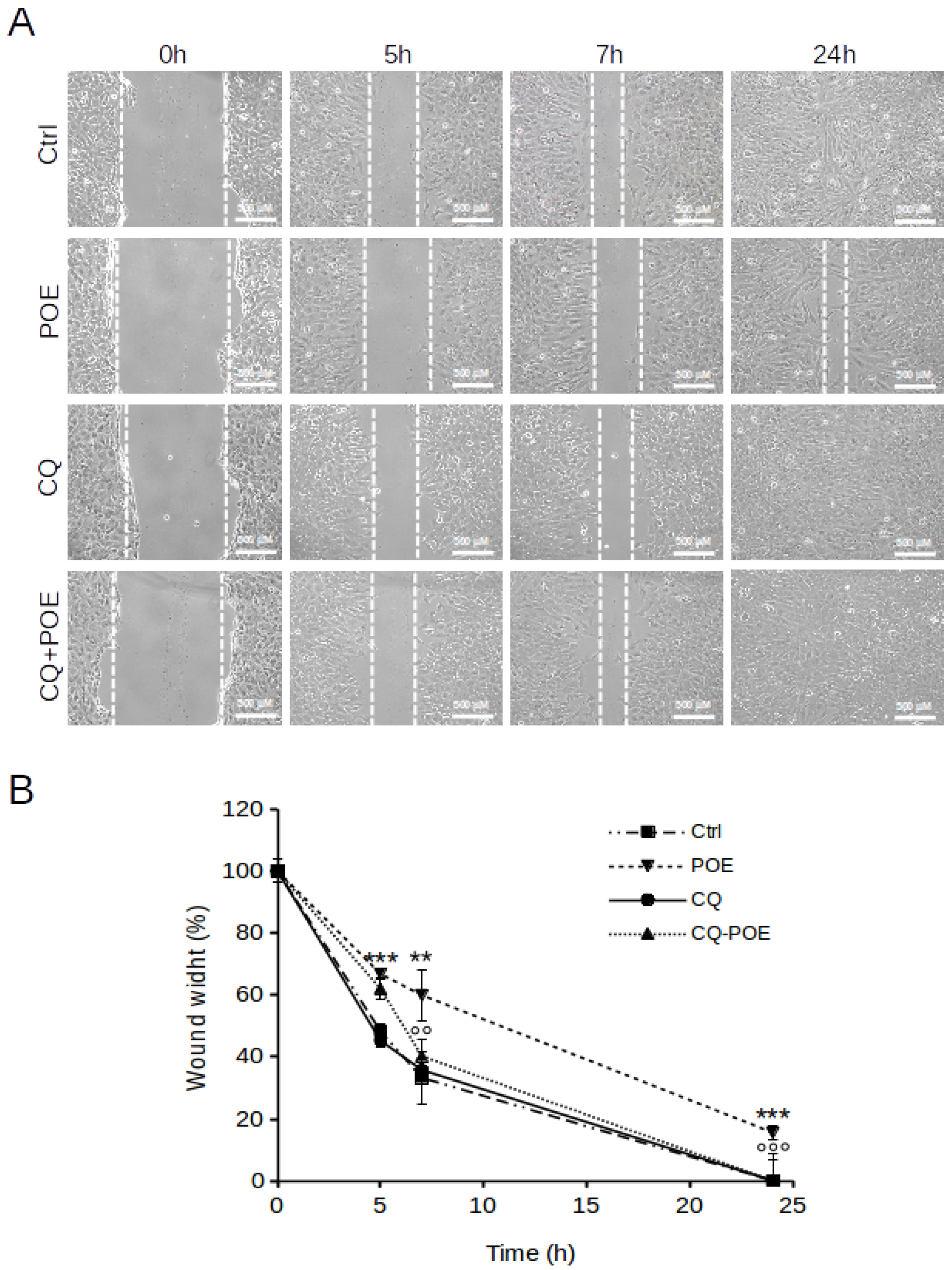 Marinedrugs 19 00579 g005
