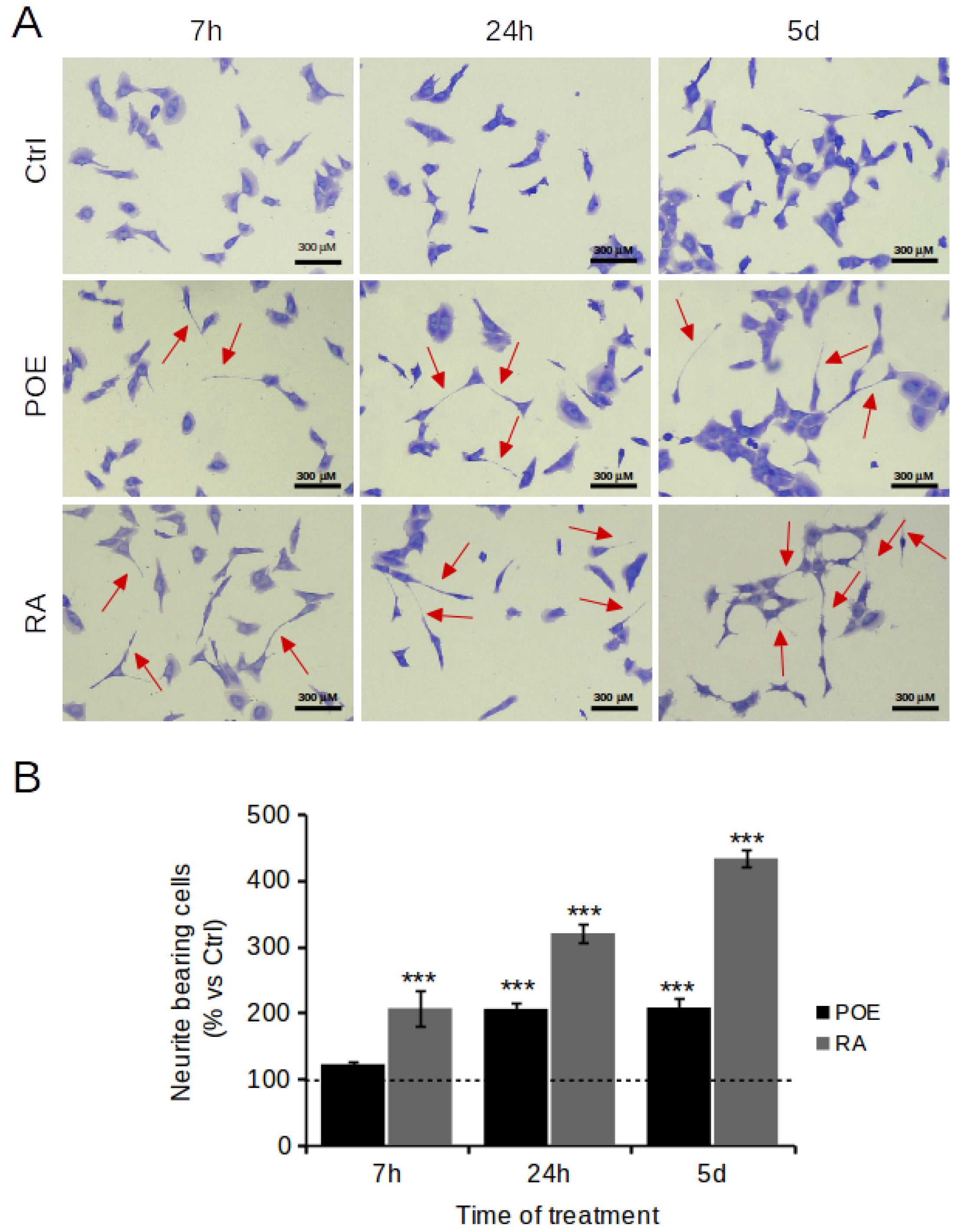 Marinedrugs 19 00579 g006