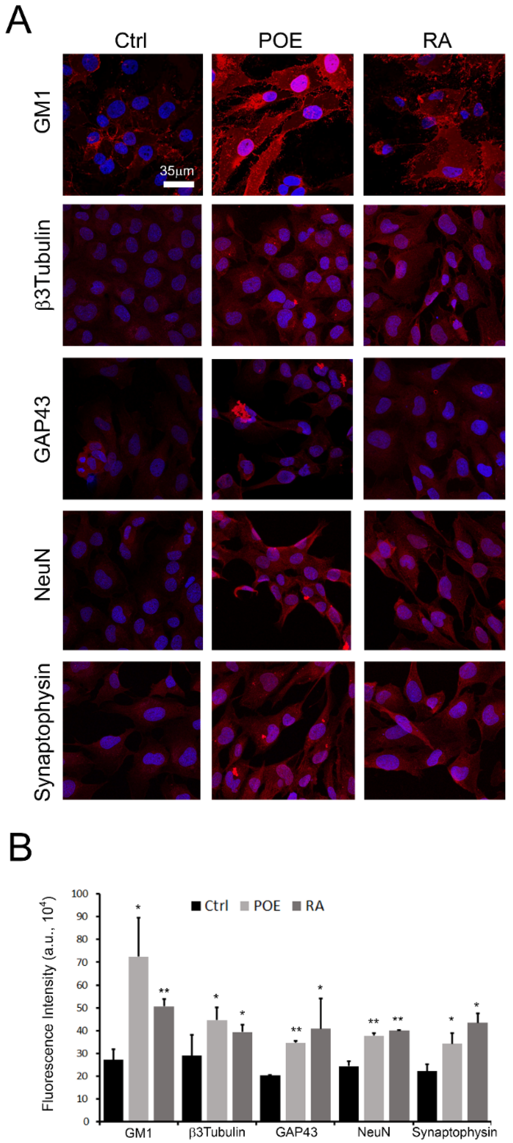 Marinedrugs 19 00579 g007