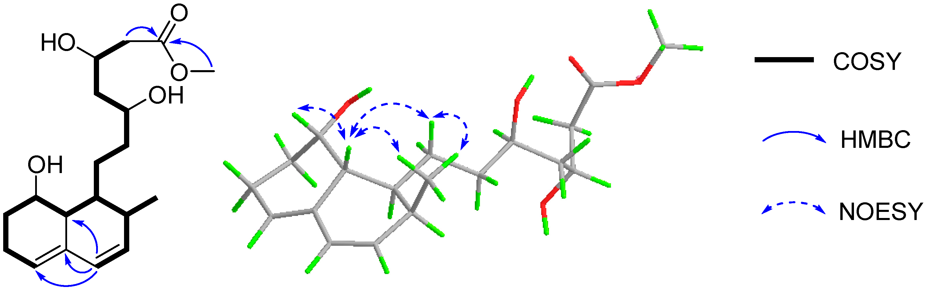 Marinedrugs 19 00580 g002