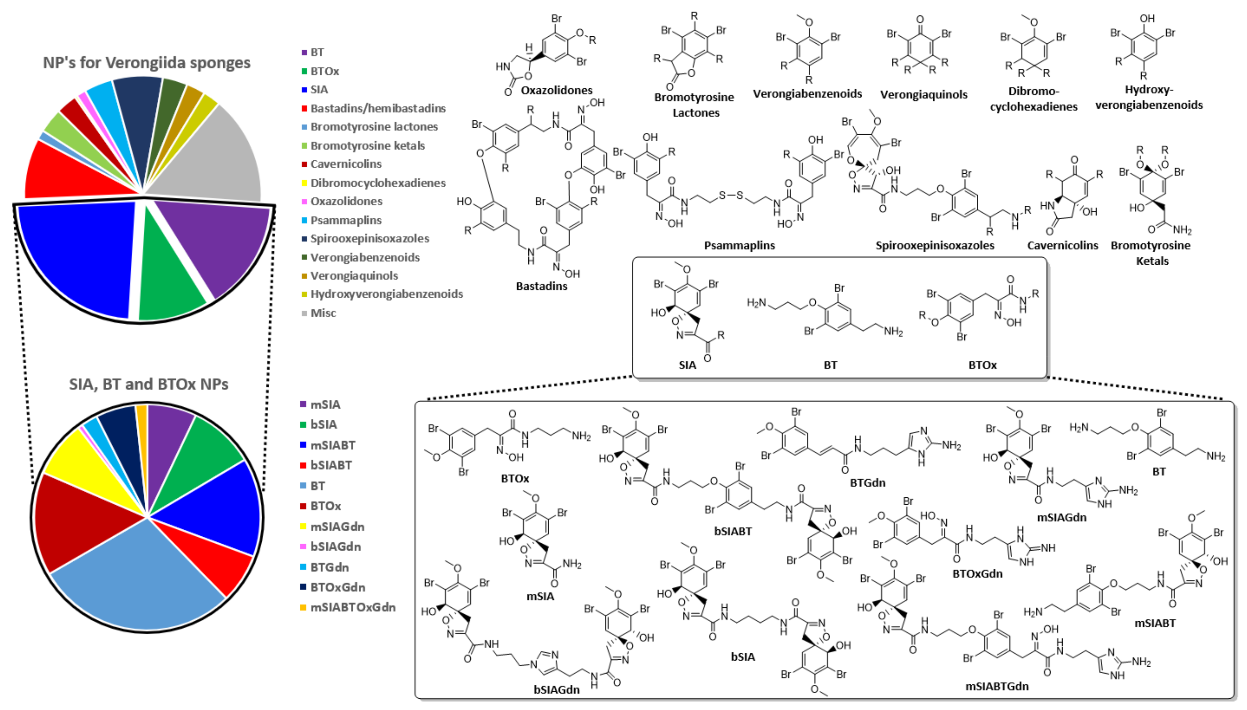 Marinedrugs 19 00582 g001 Marinedrugs 19 00582 g001
