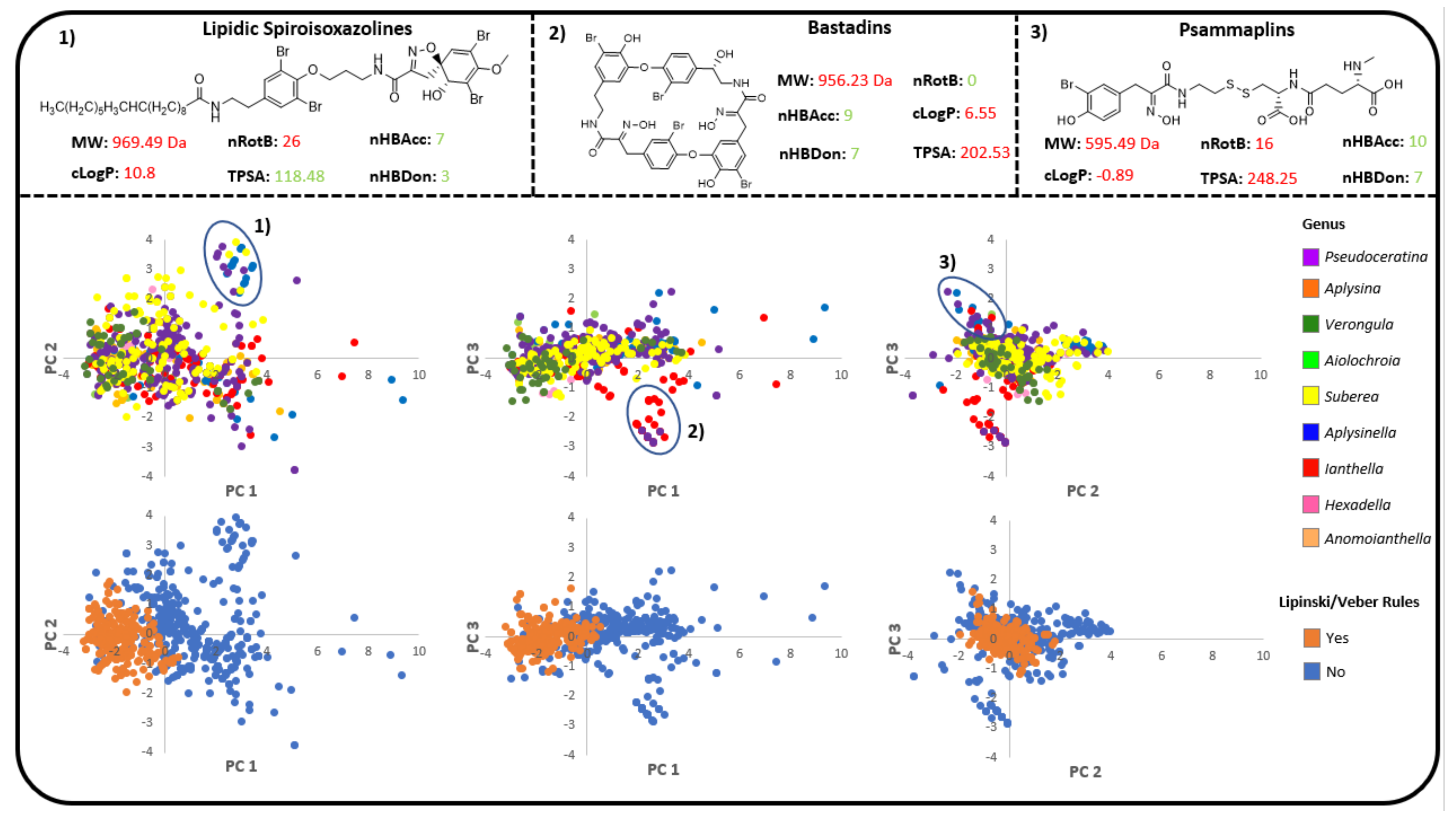 Marinedrugs 19 00582 g013 Marinedrugs 19 00582 g013