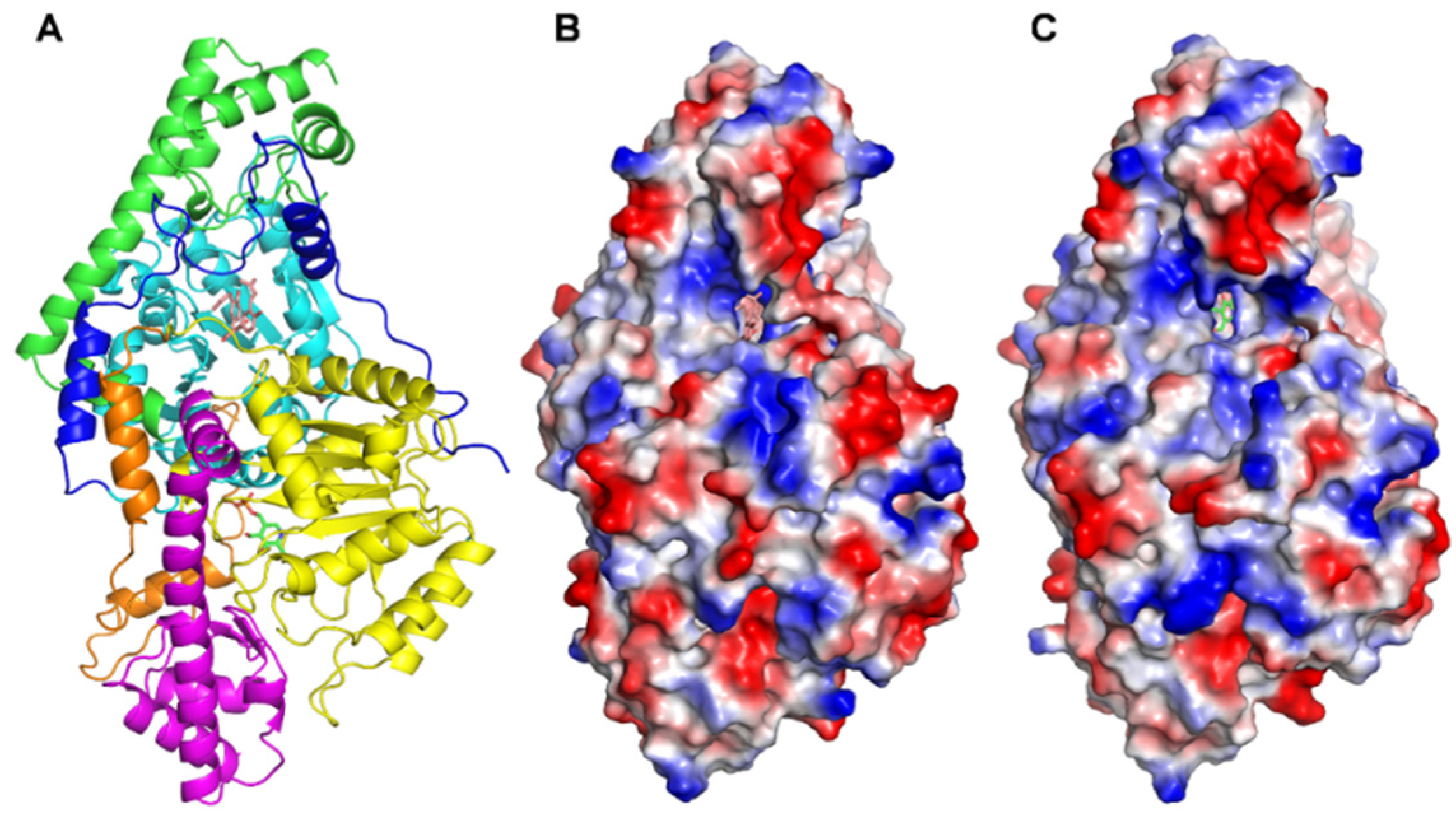 Marinedrugs 19 00588 g003
