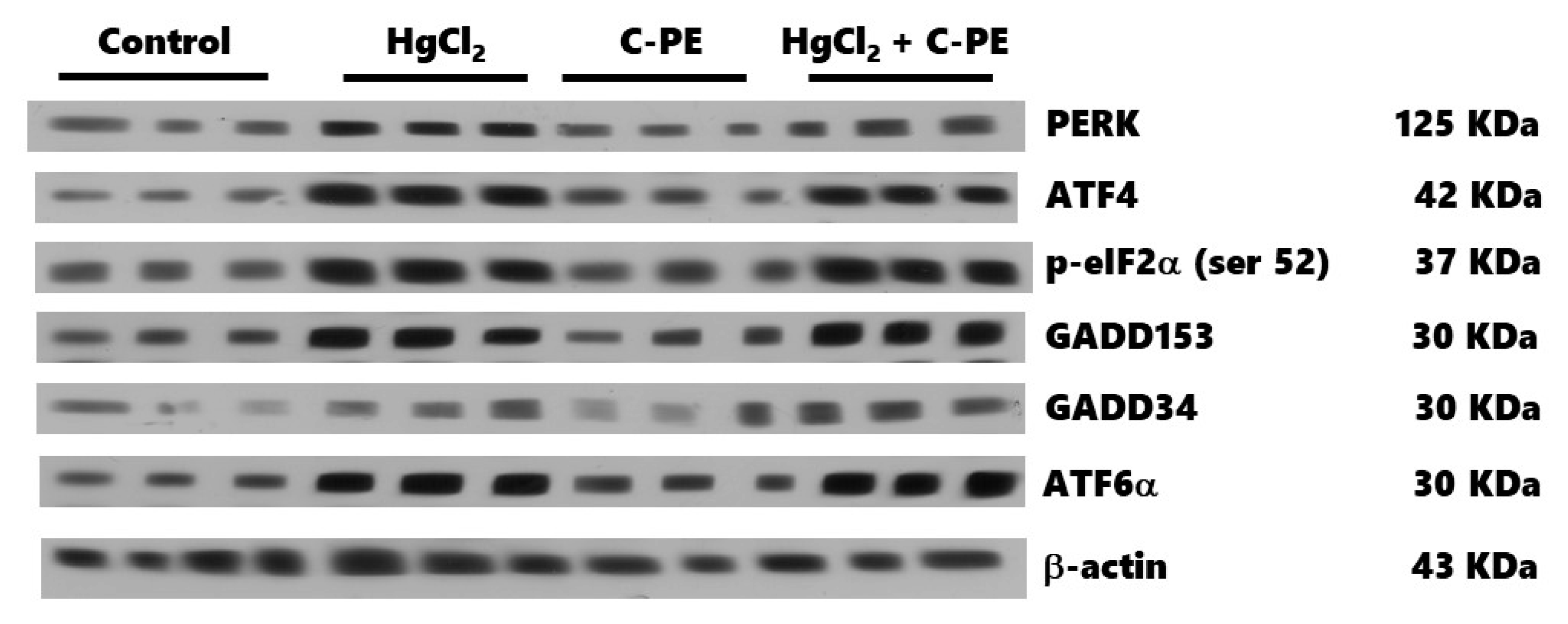 Marinedrugs 19 00589 g009