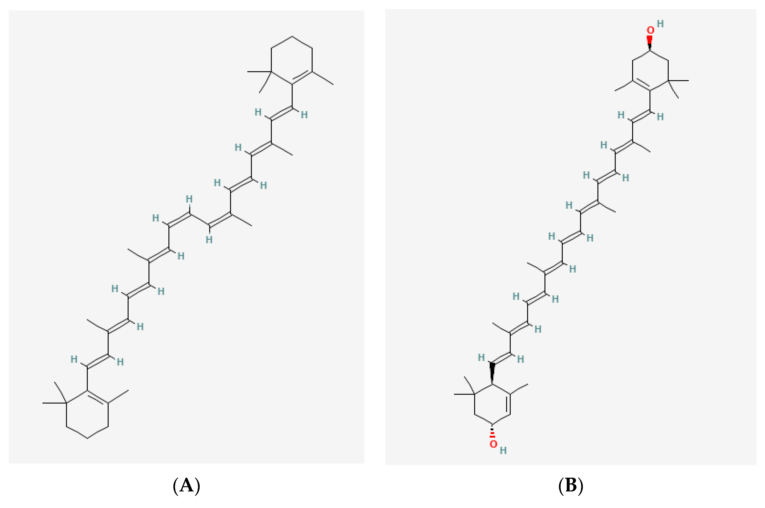 Marinedrugs 19 00594 g002