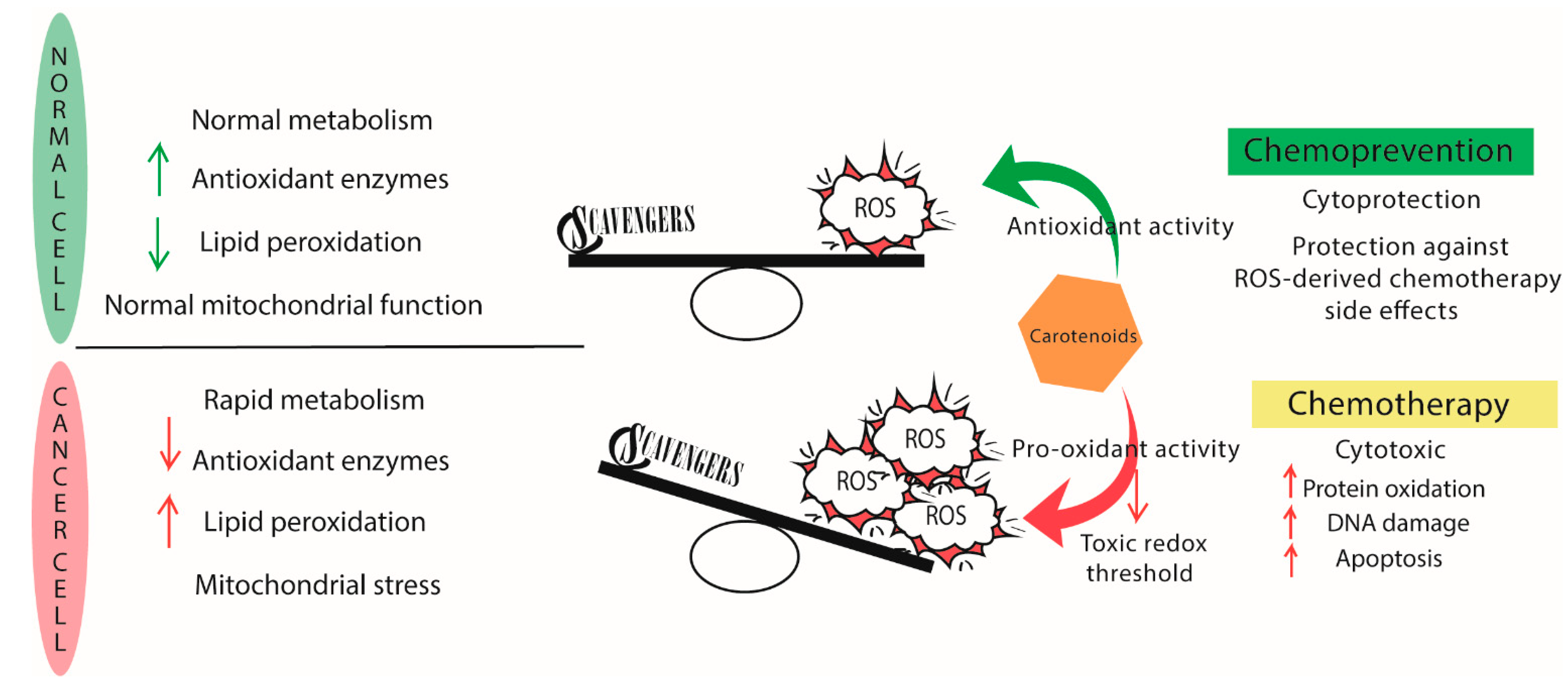 Marinedrugs 19 00594 g004