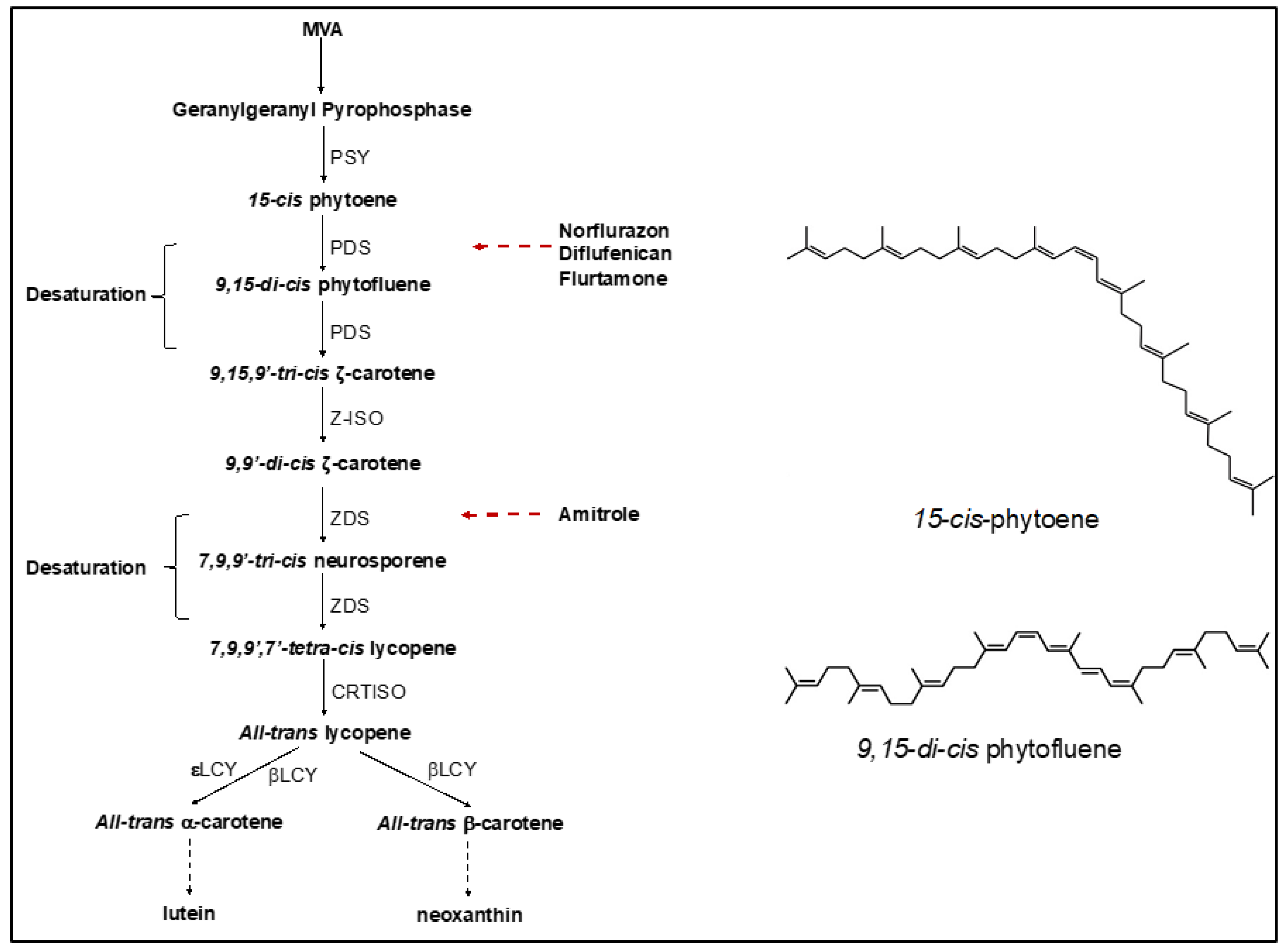 Marinedrugs 19 00595 g001 550